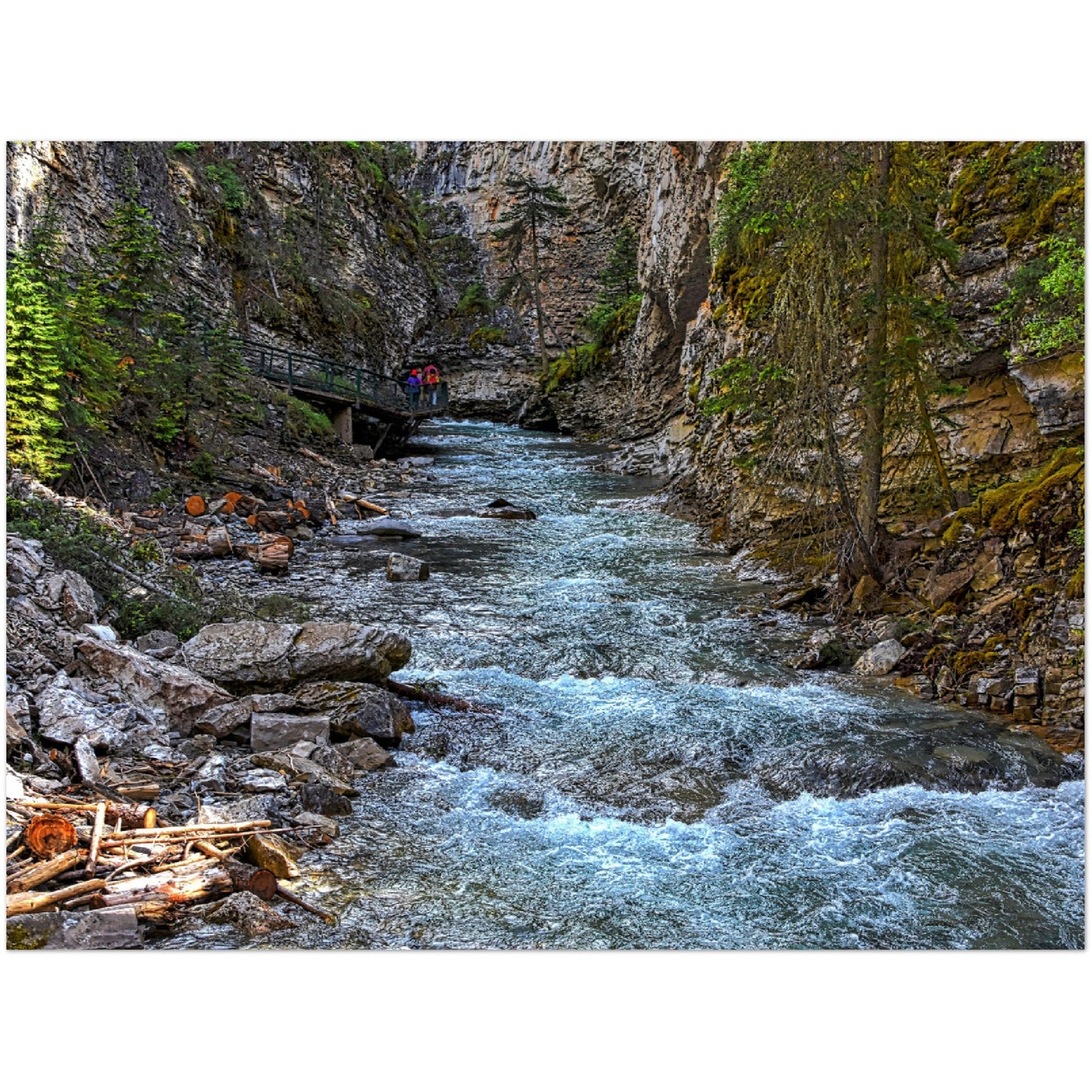 Premium Semi-Glossy Poster Print - Johnson Canyon Johnston Creek