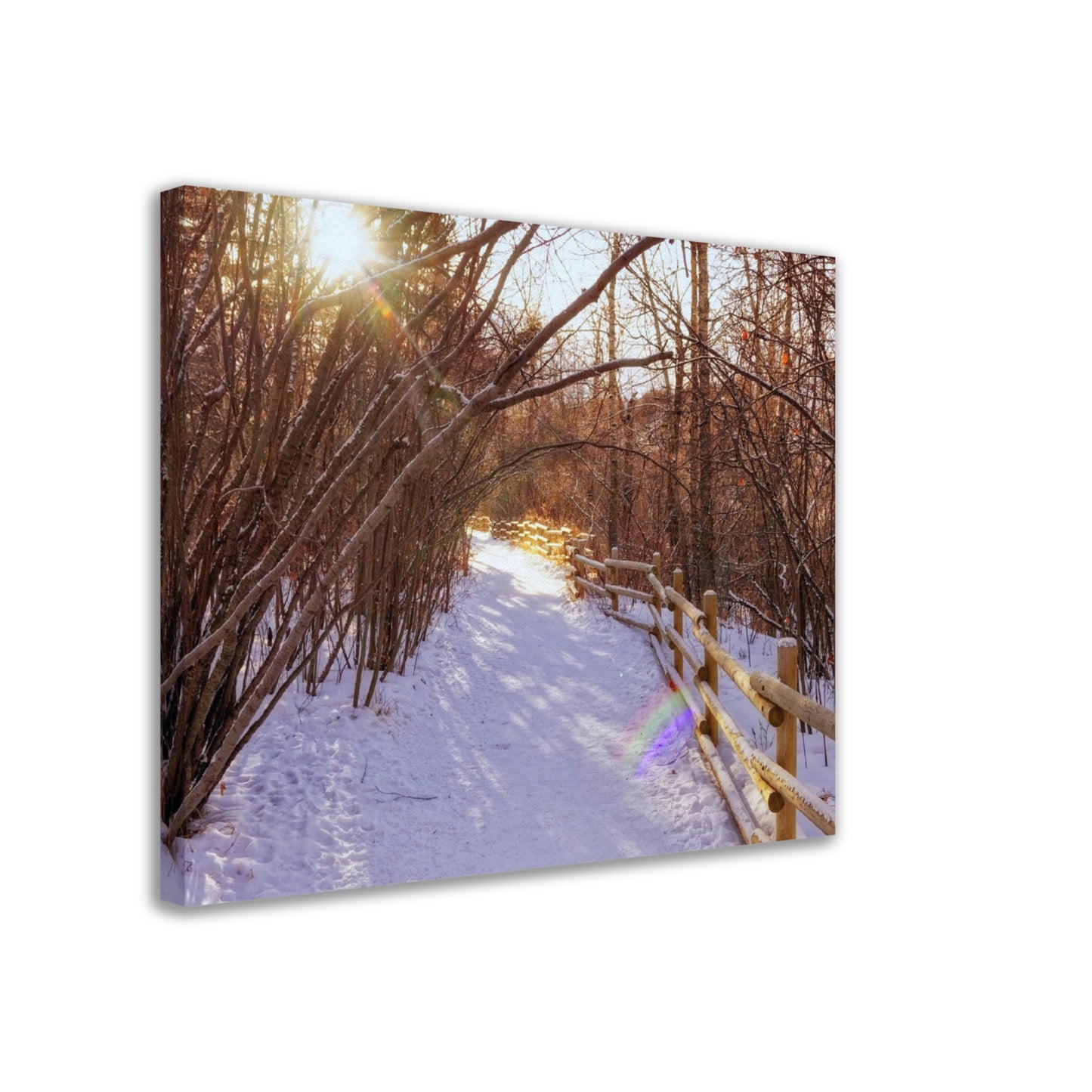 Canvas Print - Riverdale Park Forest Winter