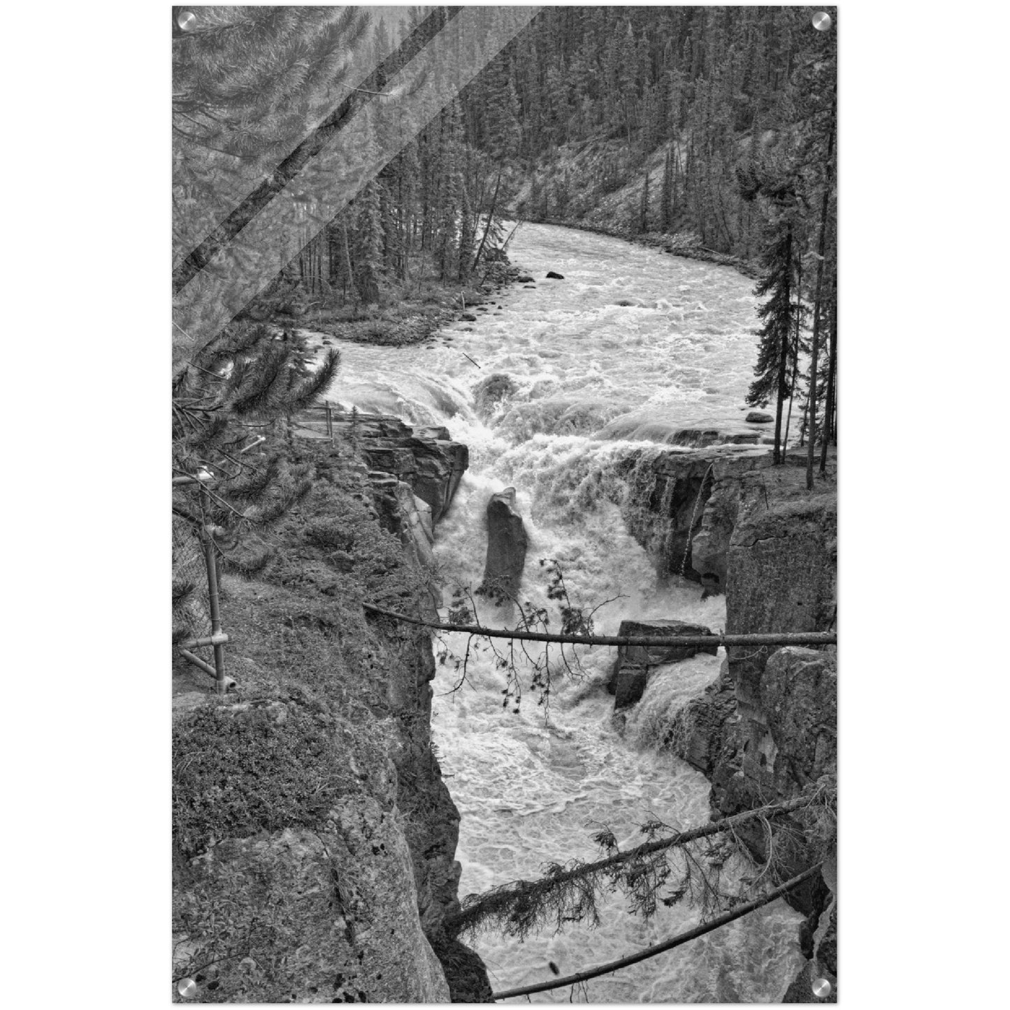 Acrylic Print - Sunwapta Falls Black and White