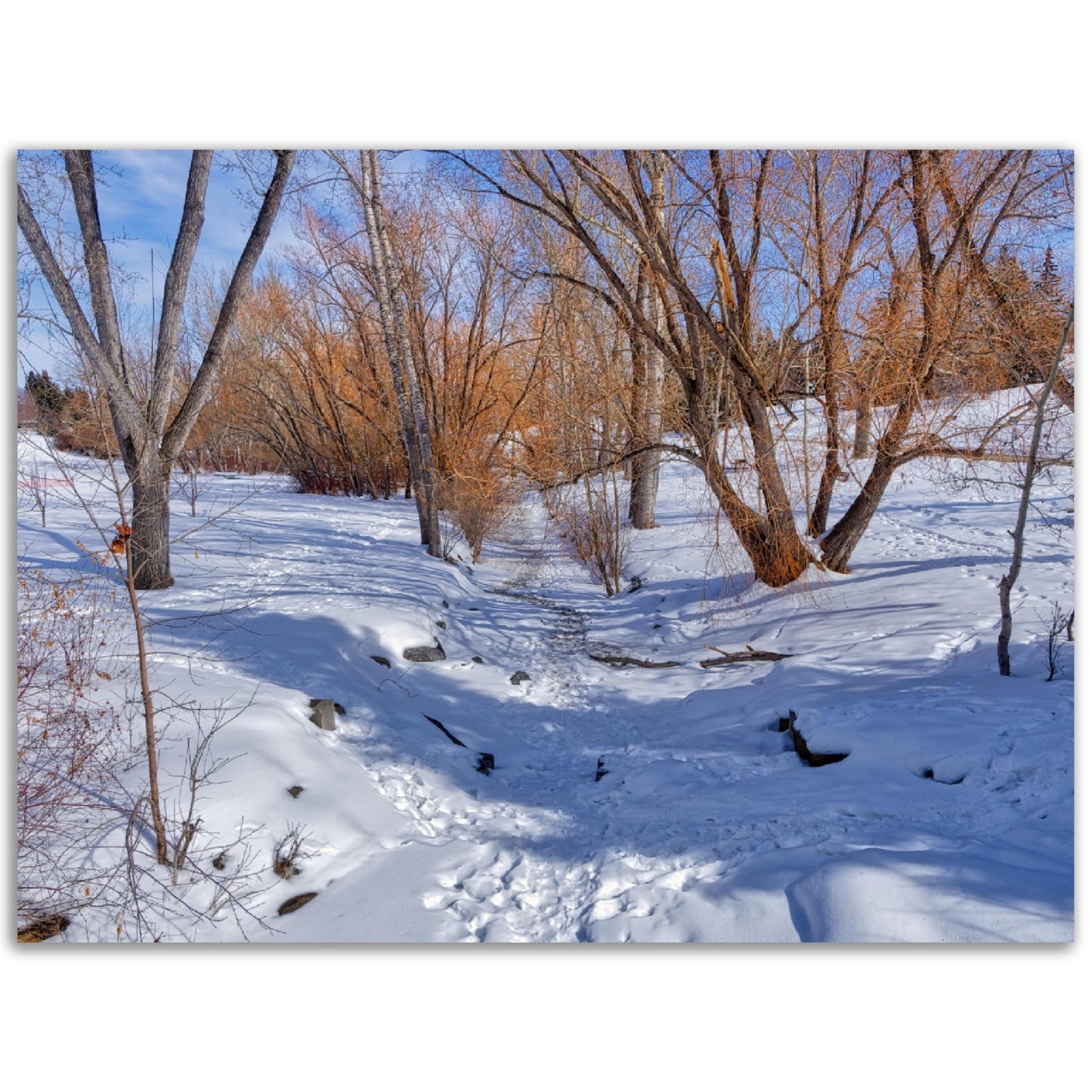 Foam Print - Confederation Creek Winter HDR
