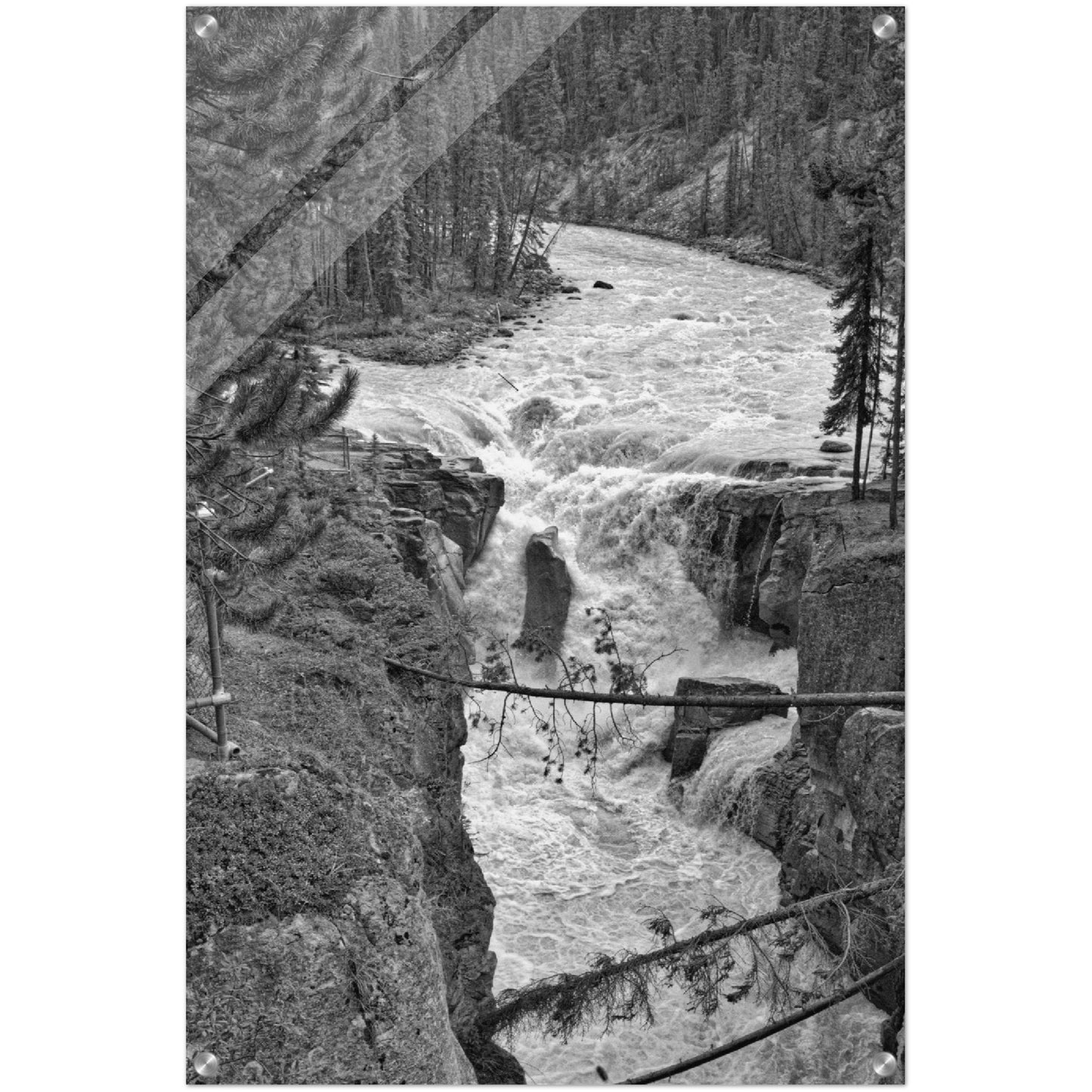 Acrylic Print - Sunwapta Falls Black and White