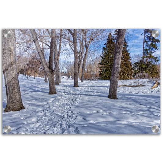 Acrylic Print - Confederation Park Winter HDR