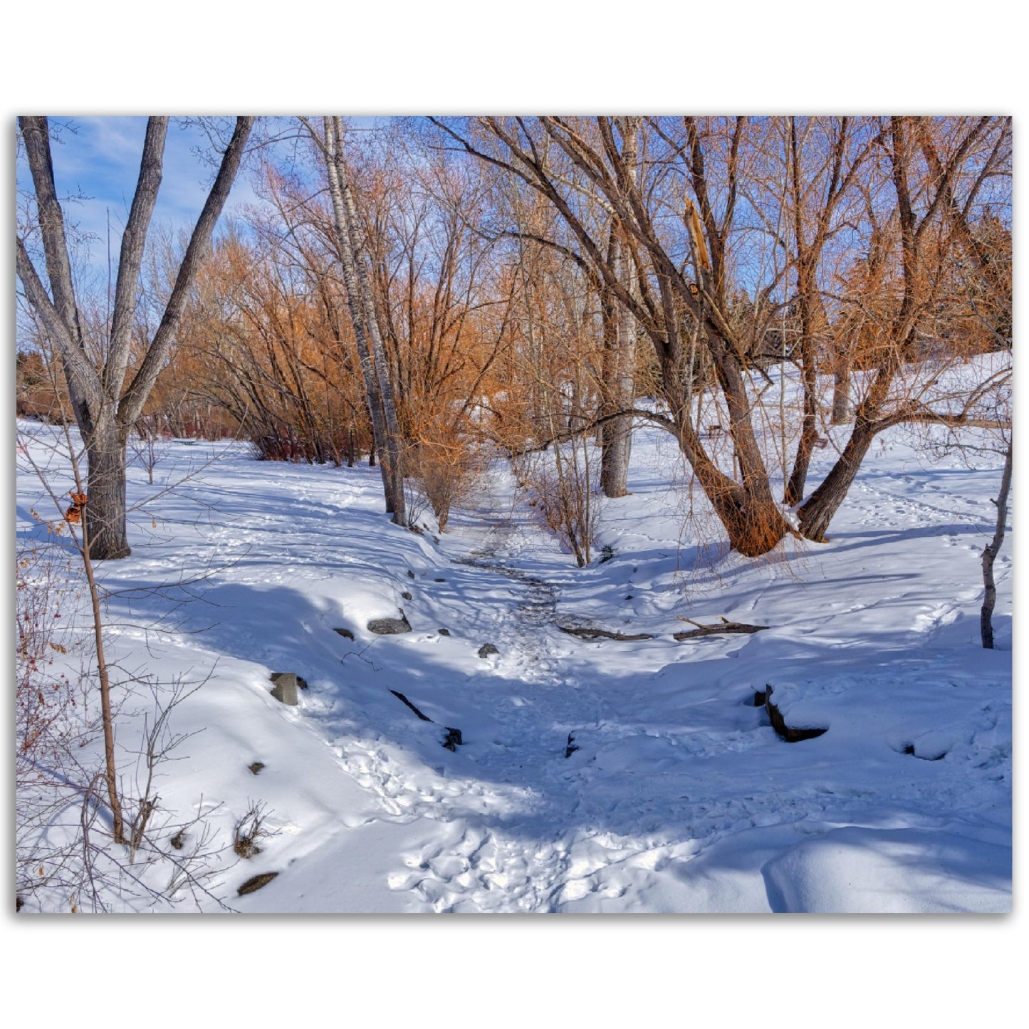 Foam Print - Confederation Creek Winter HDR