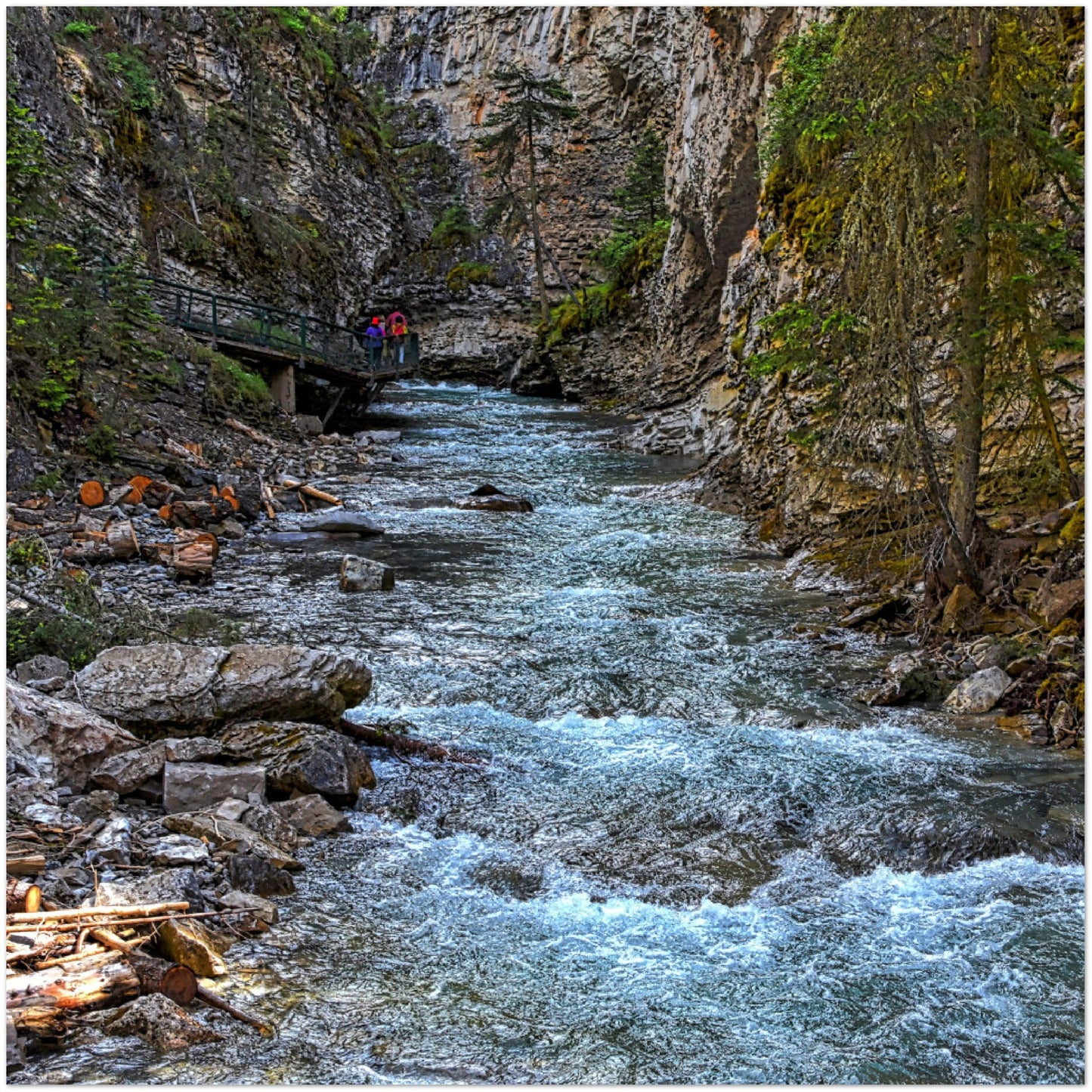 Premium Semi-Glossy Poster Print - Johnson Canyon Johnston Creek