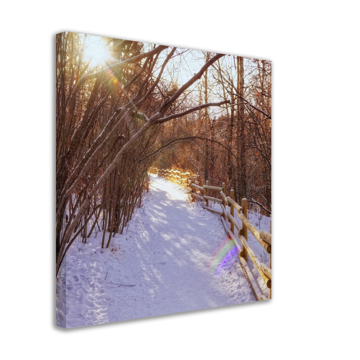 Canvas Print - Riverdale Park Forest Winter