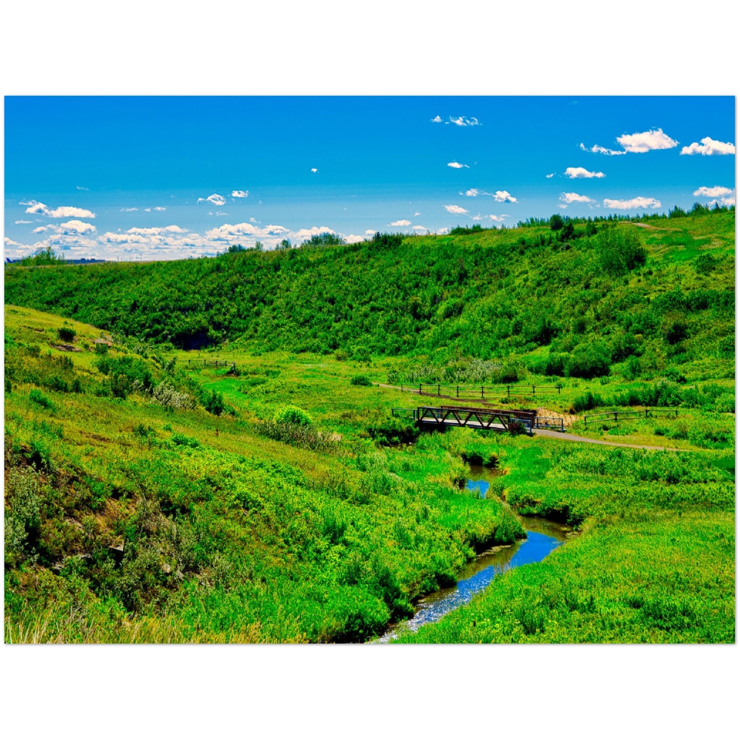 Foam Print - West Nose Creek Park