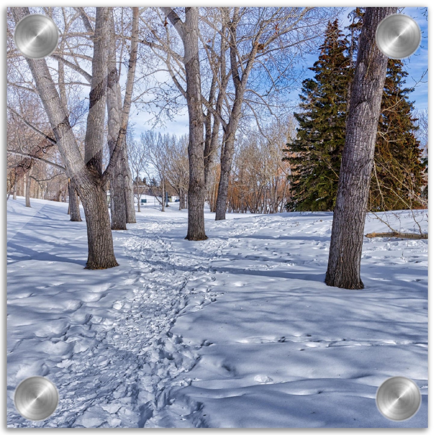Acrylic Print - Confederation Park Winter HDR