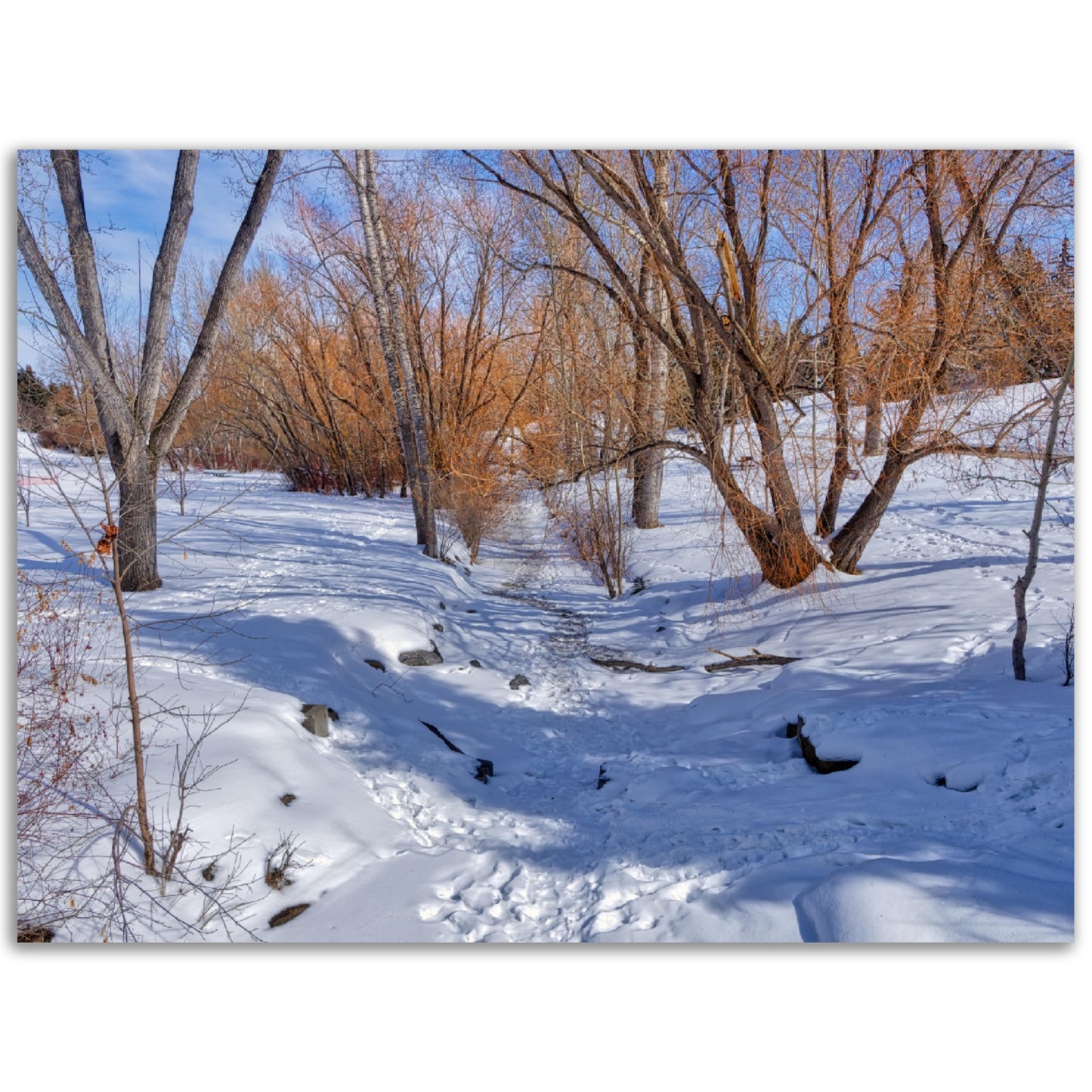 Premium Semi-Glossy Poster Print - Confederation Creek Winter HDR