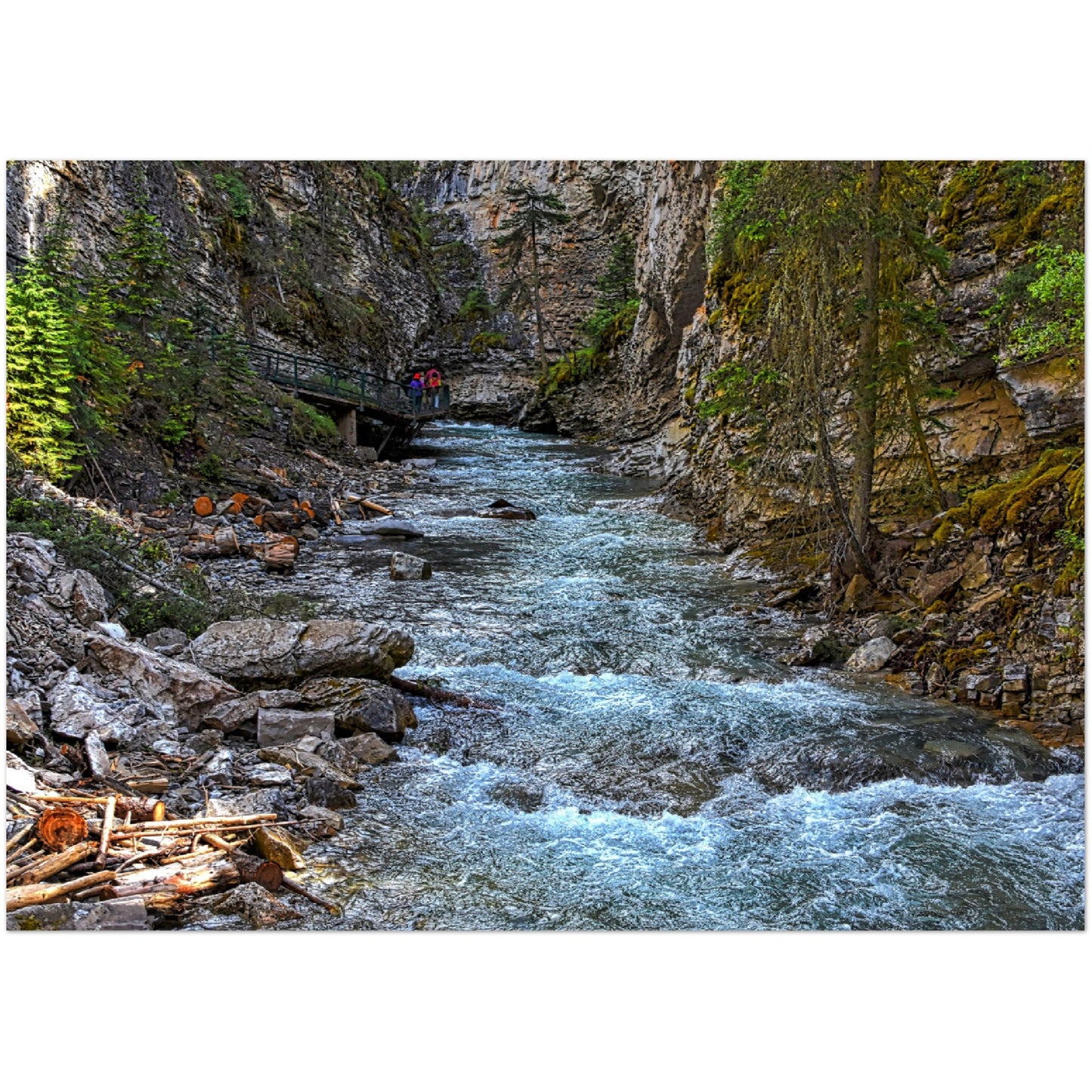 Premium Semi-Glossy Poster Print - Johnson Canyon Johnston Creek