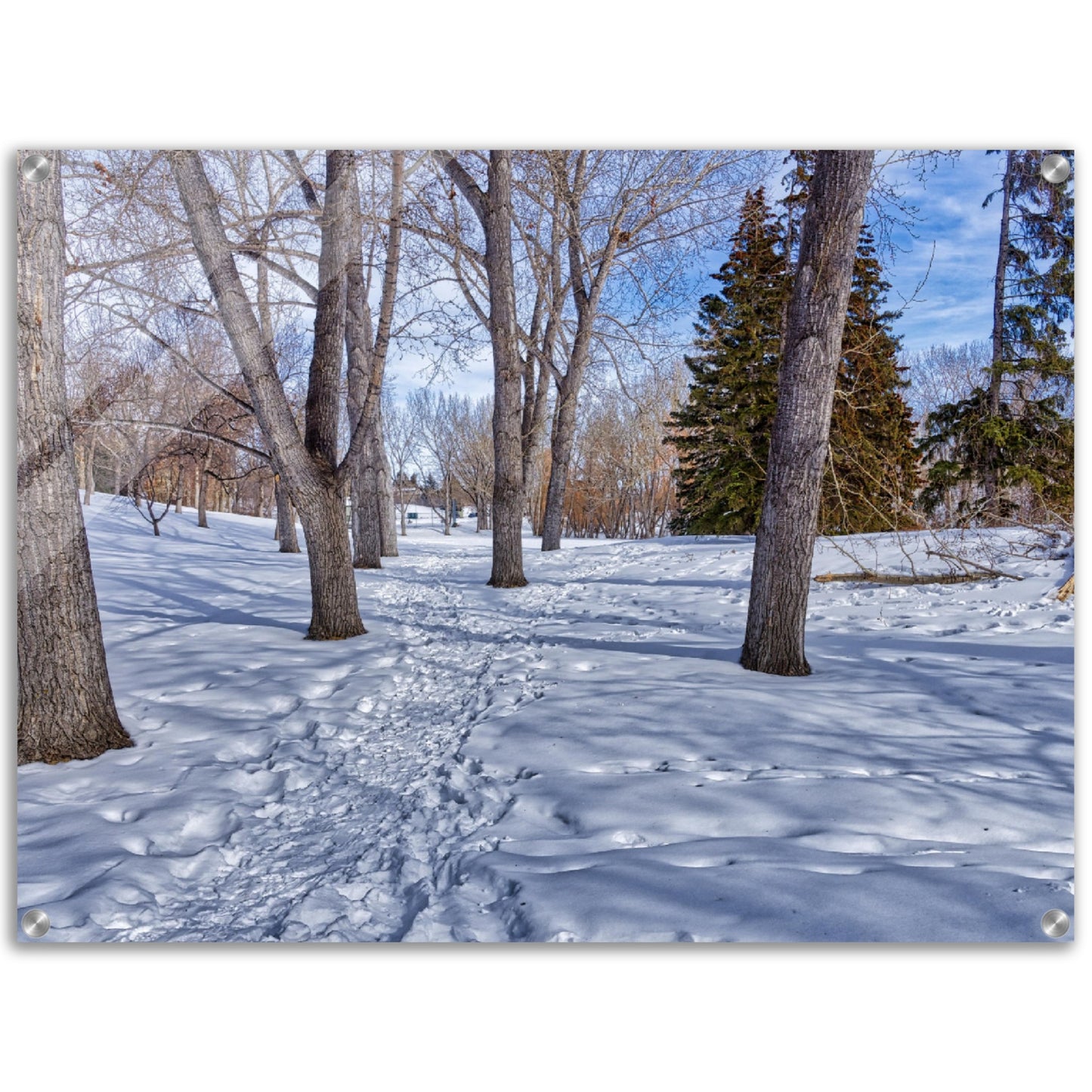 Acrylic Print - Confederation Park Winter HDR