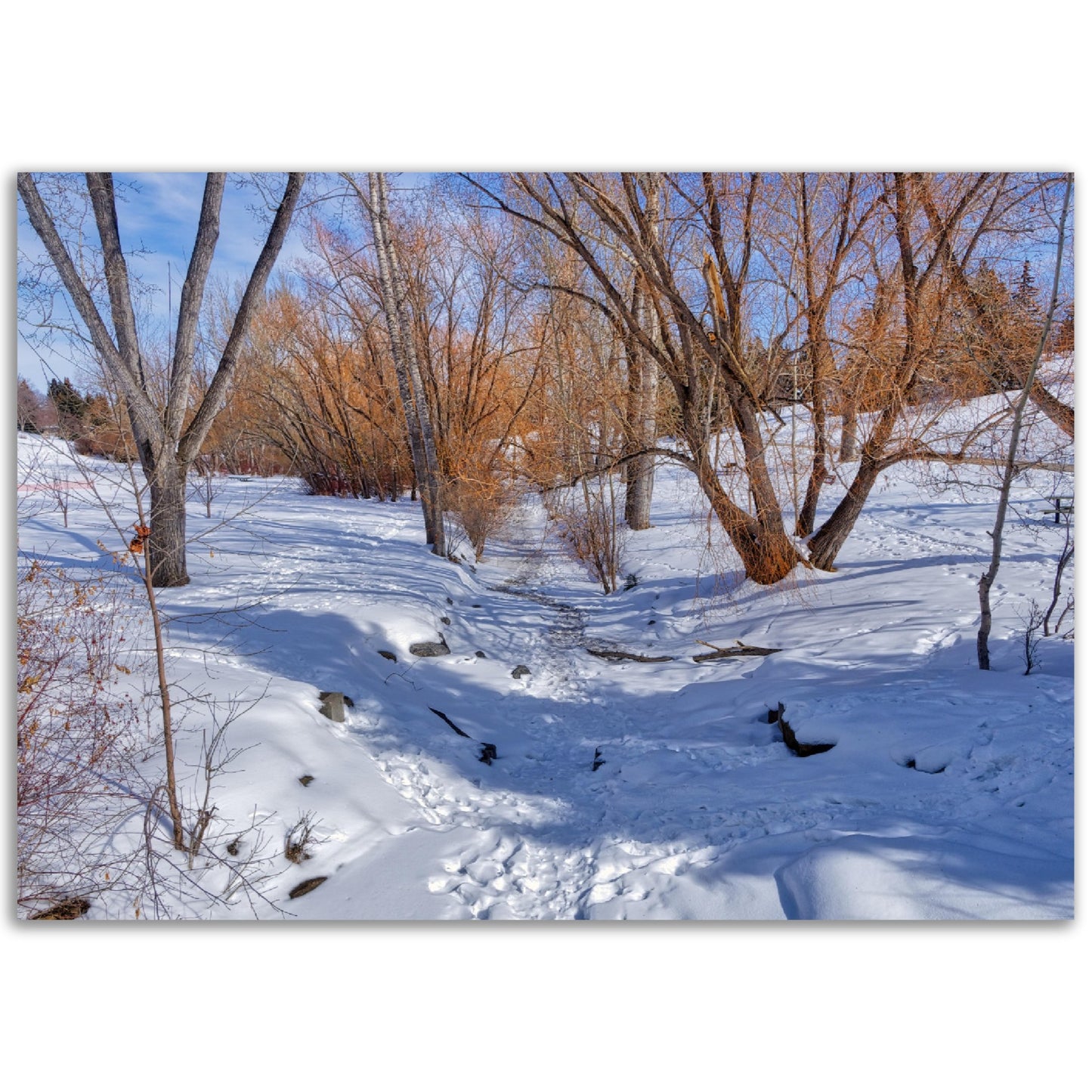 Premium Semi-Glossy Poster Print - Confederation Creek Winter HDR