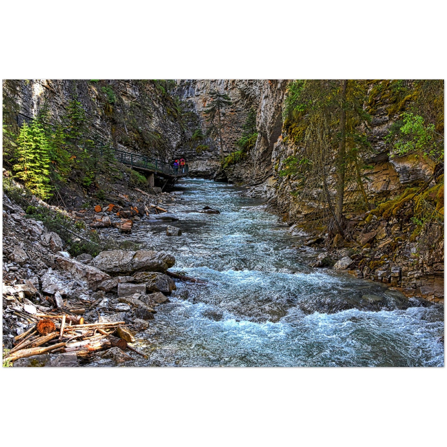 Premium Semi-Glossy Poster Print - Johnson Canyon Johnston Creek