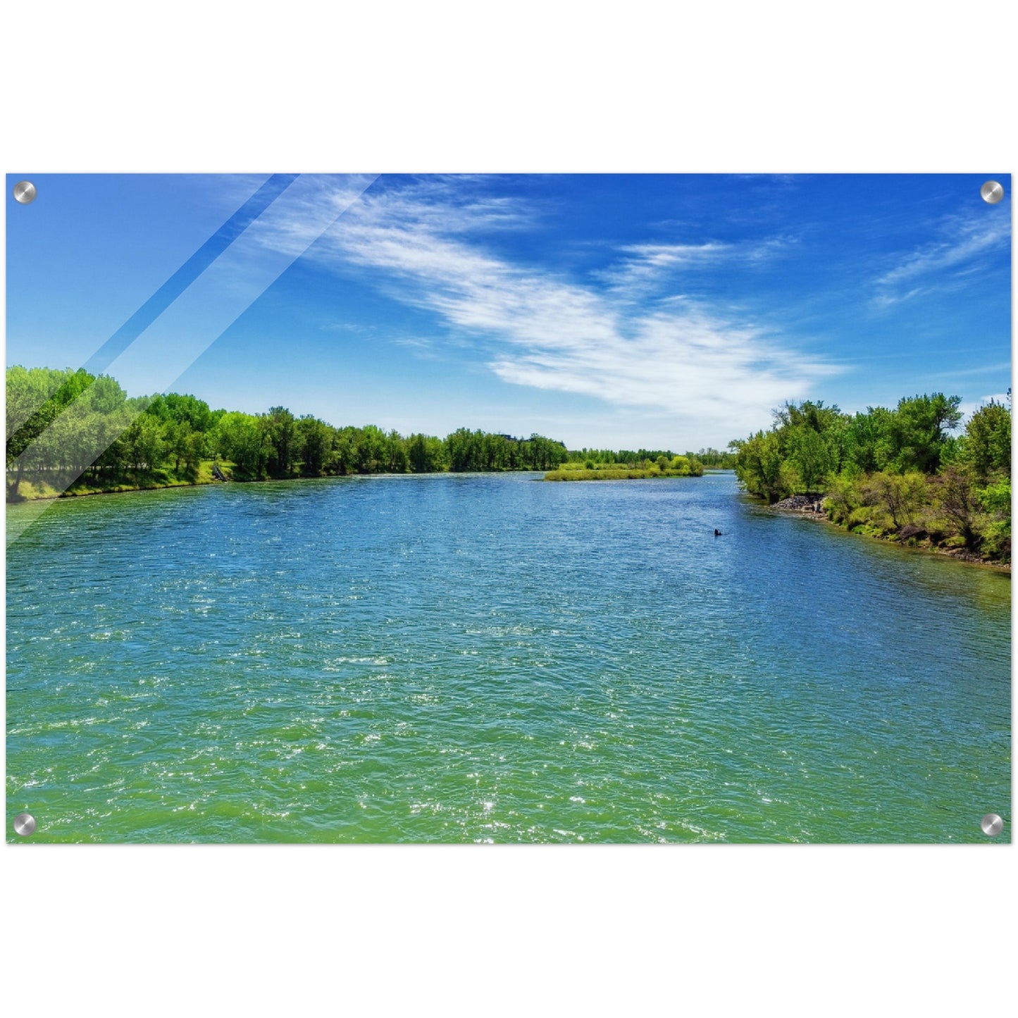 Acrylic Print - Bow River Eric Harvie Bridge Spring
