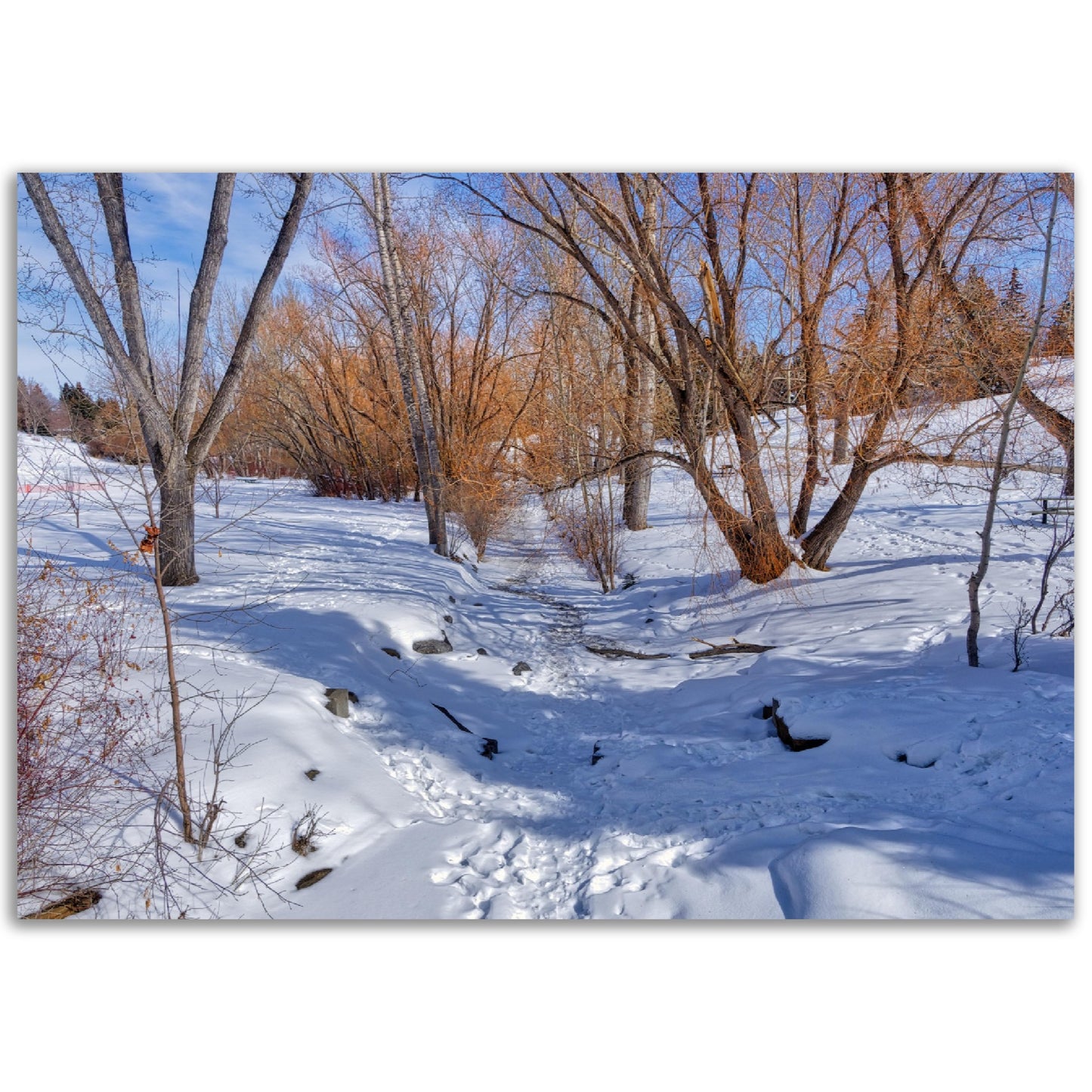 Premium Semi-Glossy Poster Print - Confederation Creek Winter HDR