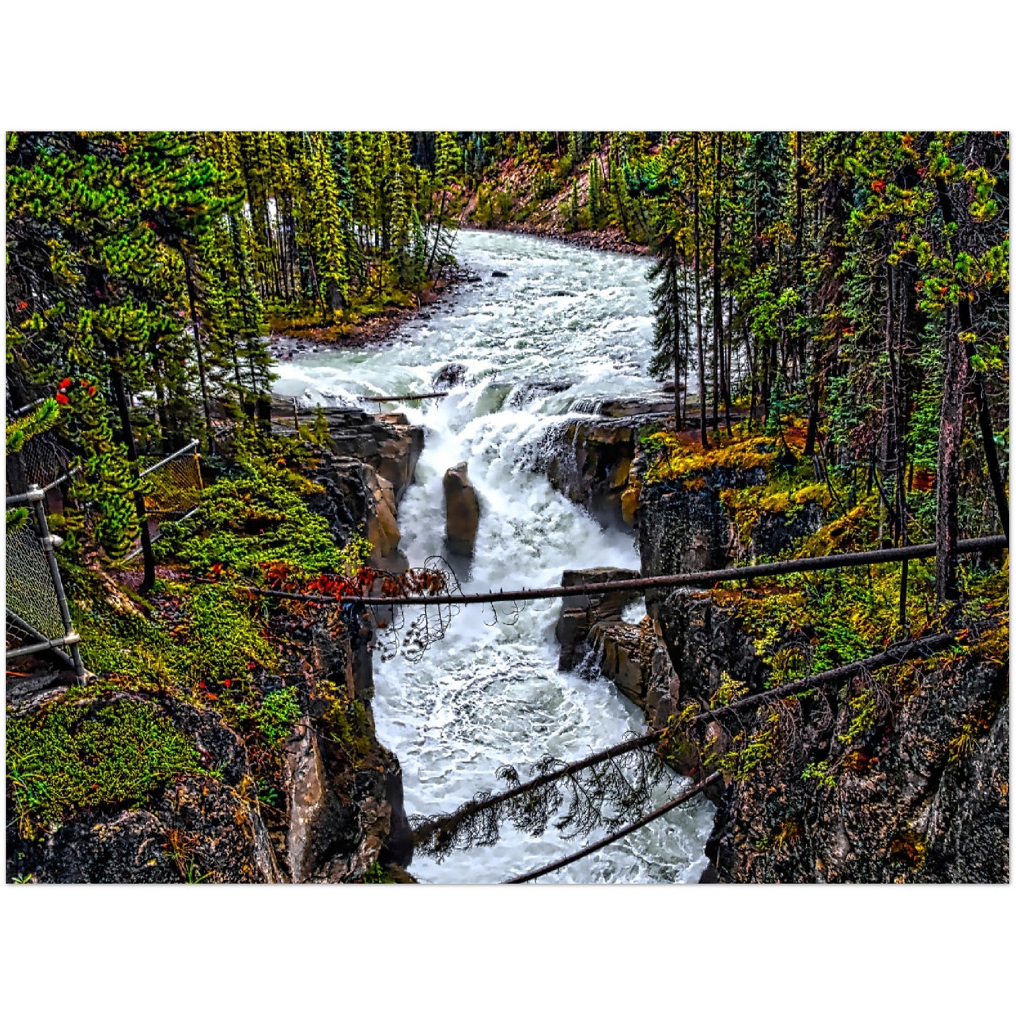 Premium Semi-Glossy Poster Print - Sunwapta Falls HDR