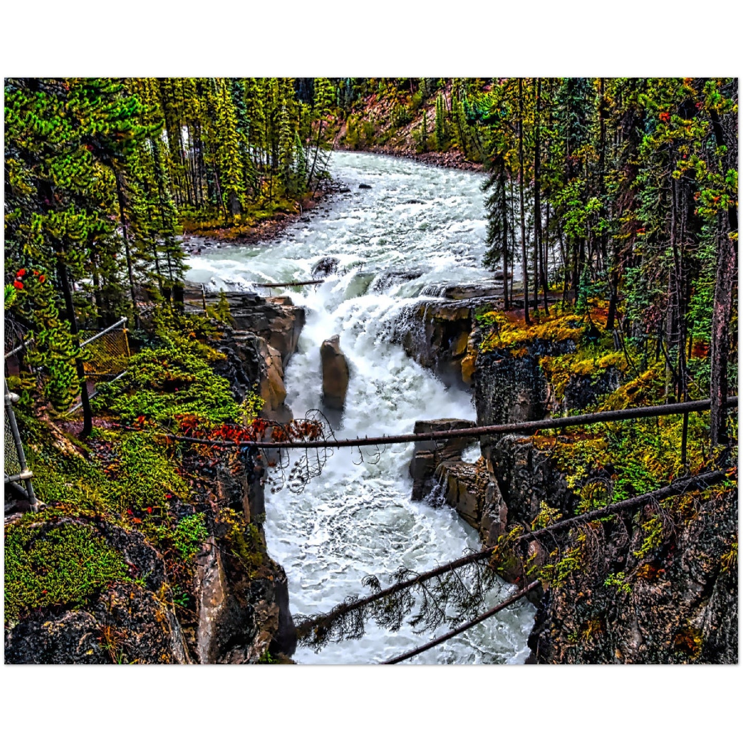 Premium Semi-Glossy Poster Print - Sunwapta Falls HDR