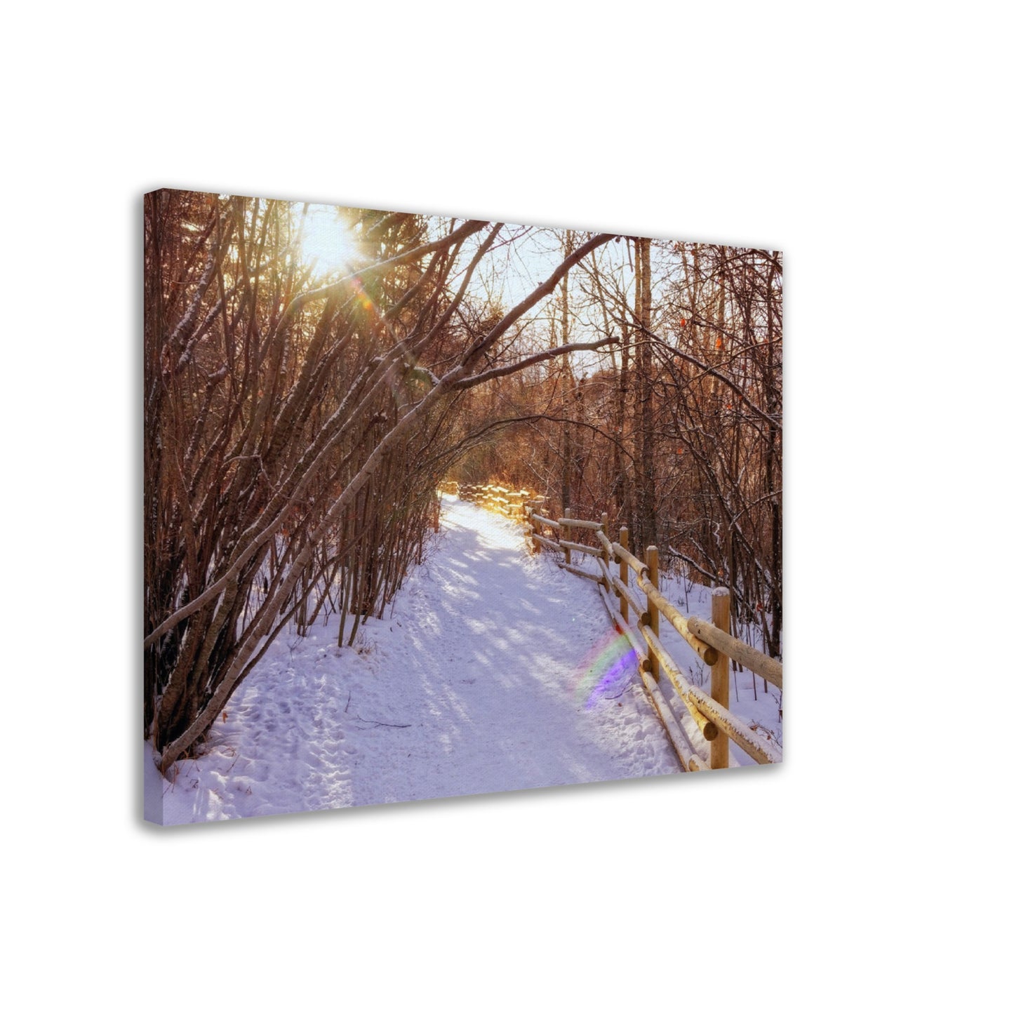 Canvas Print - Riverdale Park Forest Winter