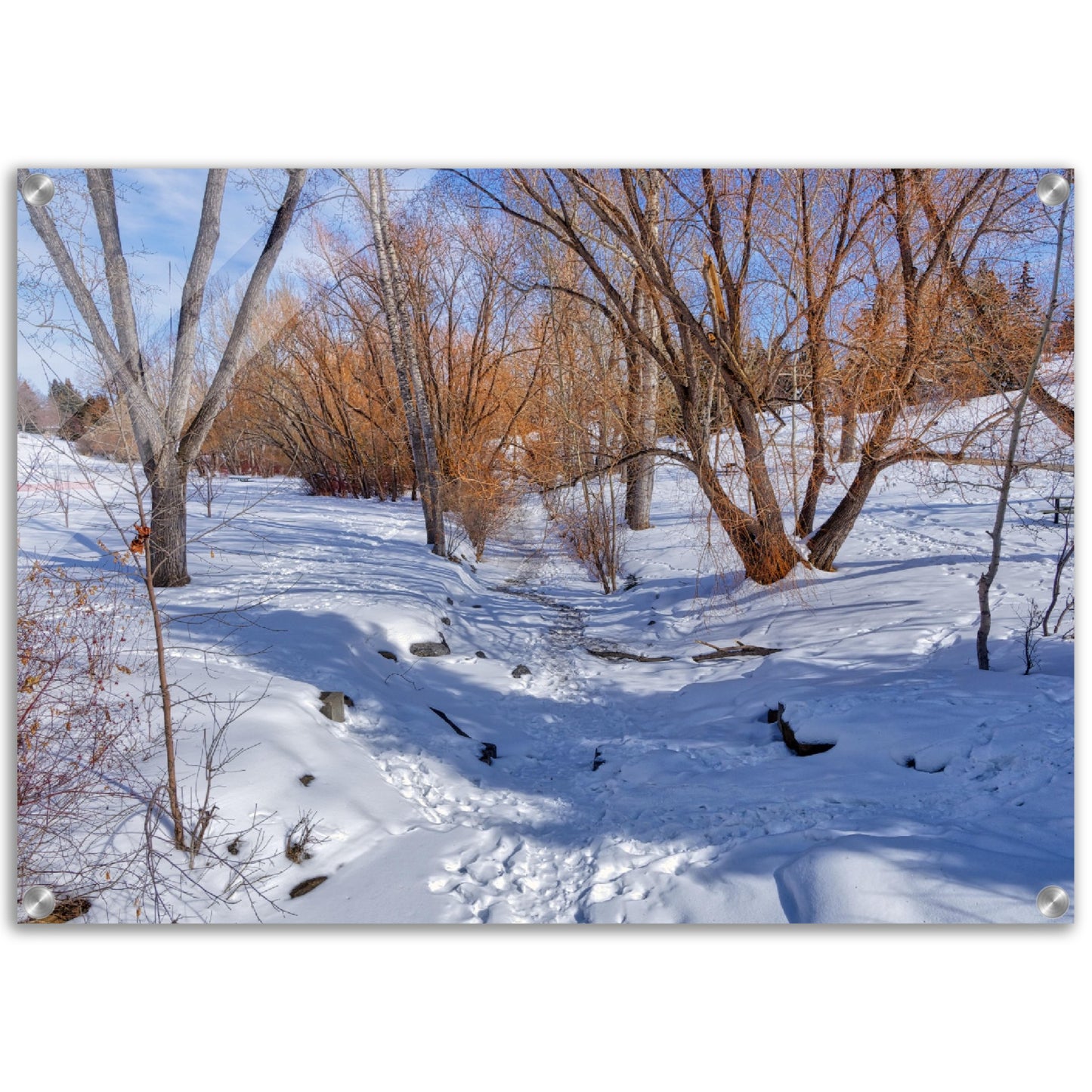 Acrylic Print - Confederation Creek Winter HDR