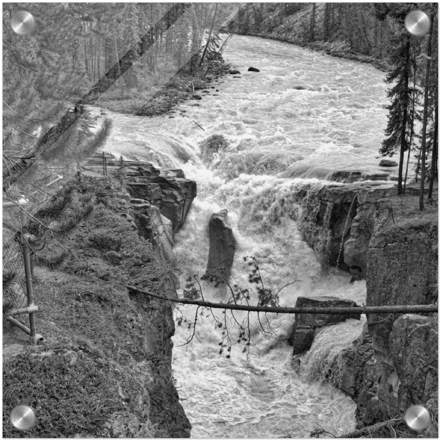 Acrylic Print - Sunwapta Falls Black and White