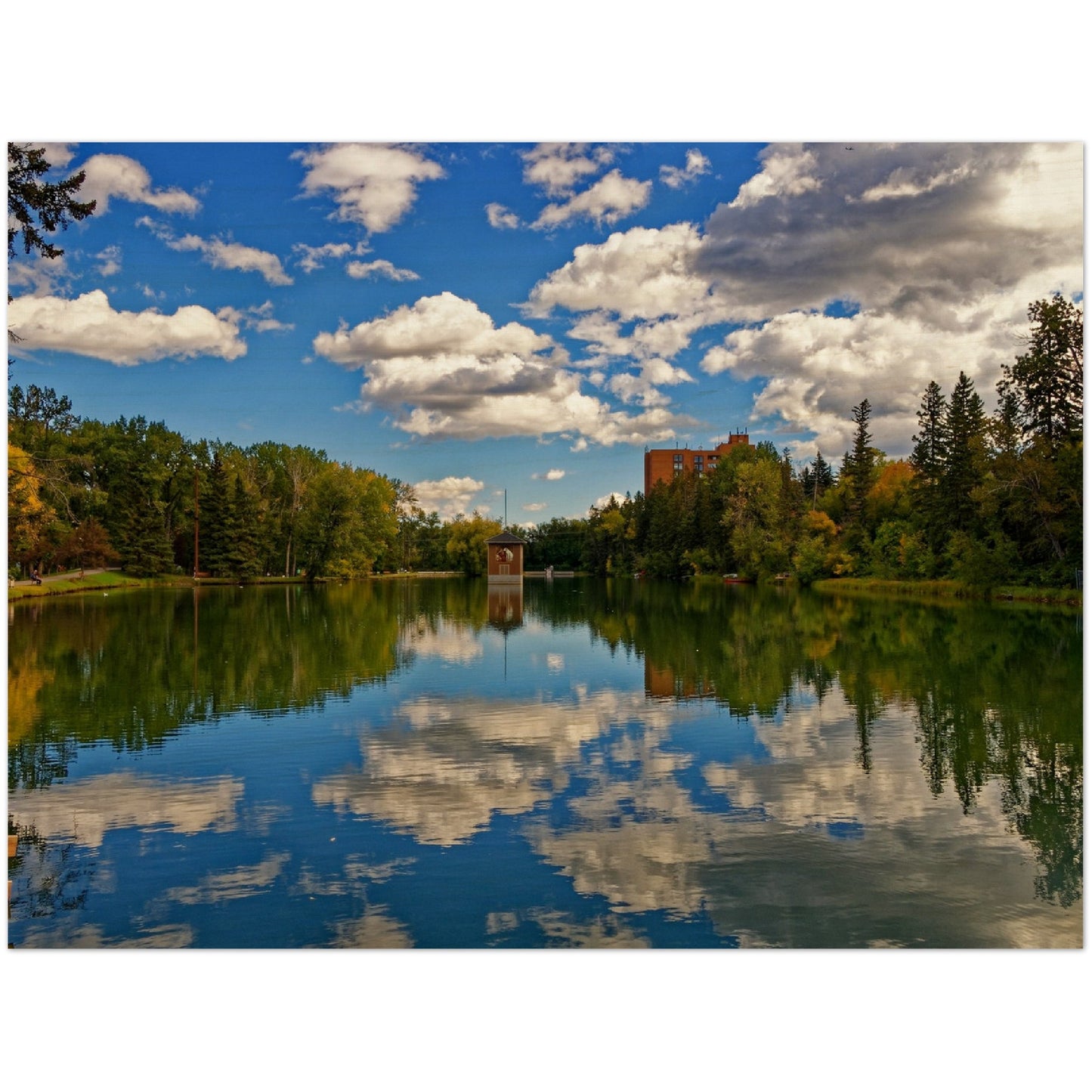 Wood Print - Bowness Park Lagoon Fall