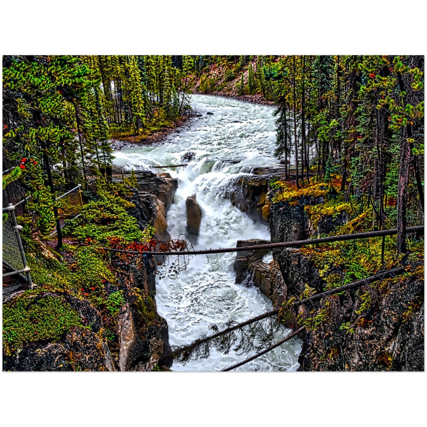 Premium Semi-Glossy Poster Print - Sunwapta Falls HDR