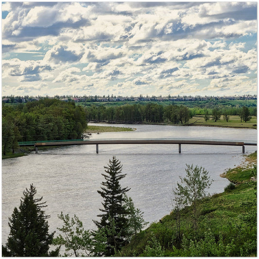 Wood Print - Fish Creek Park Bow River Mallard Point HDR