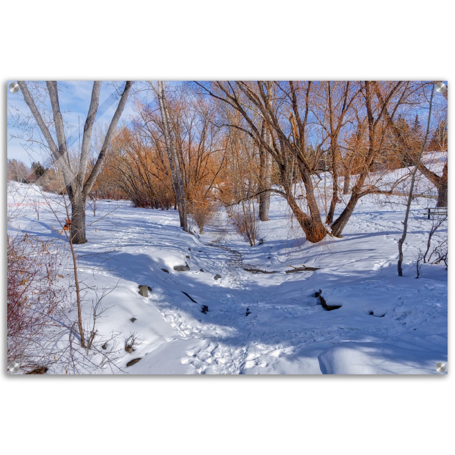 Acrylic Print - Confederation Creek Winter HDR