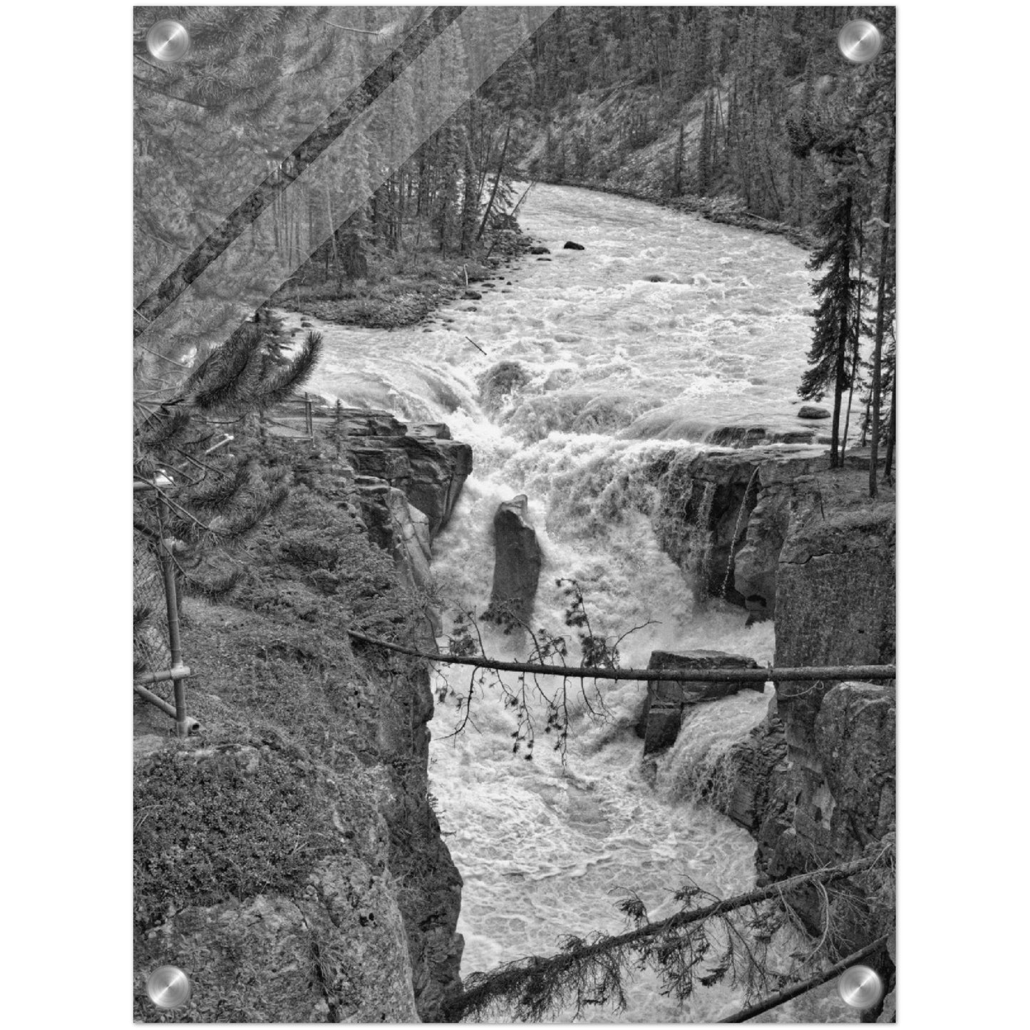 Acrylic Print - Sunwapta Falls Black and White