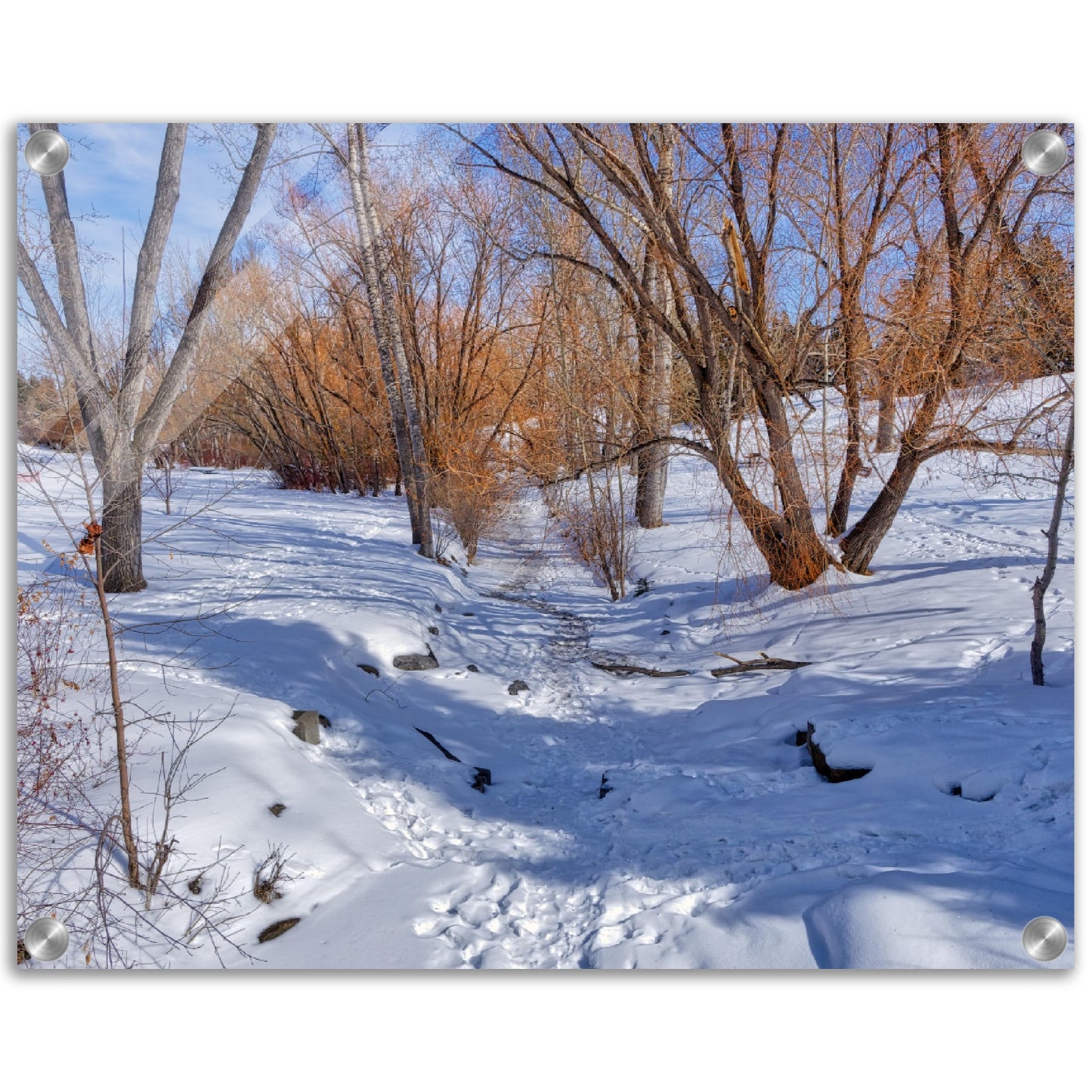 Acrylic Print - Confederation Creek Winter HDR