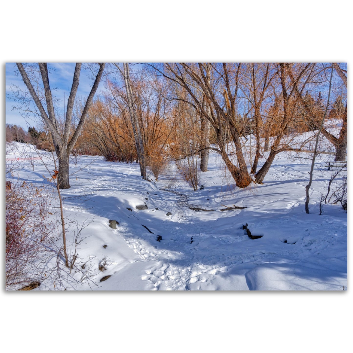 Foam Print - Confederation Creek Winter HDR