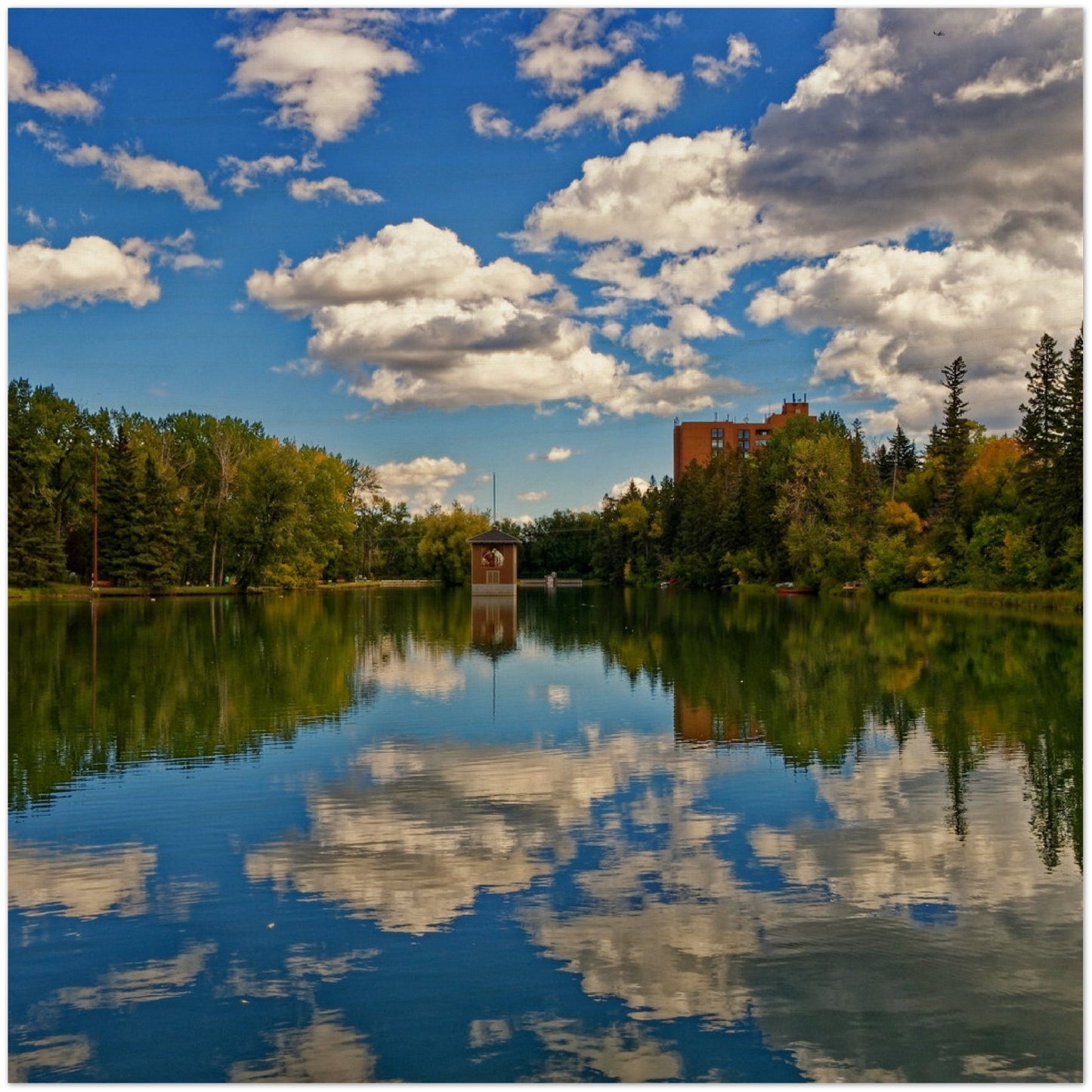 Wood Print - Bowness Park Lagoon Fall