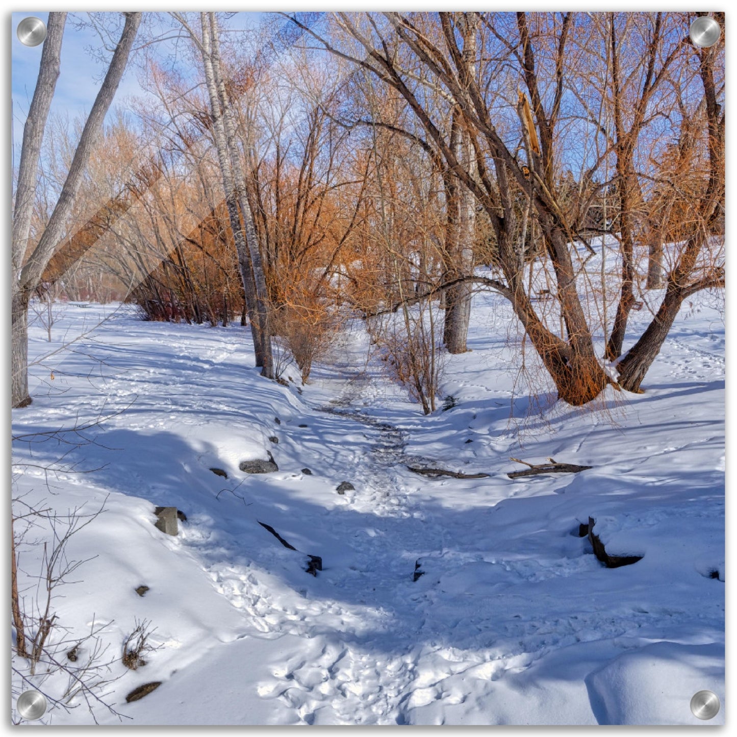 Acrylic Print - Confederation Creek Winter HDR