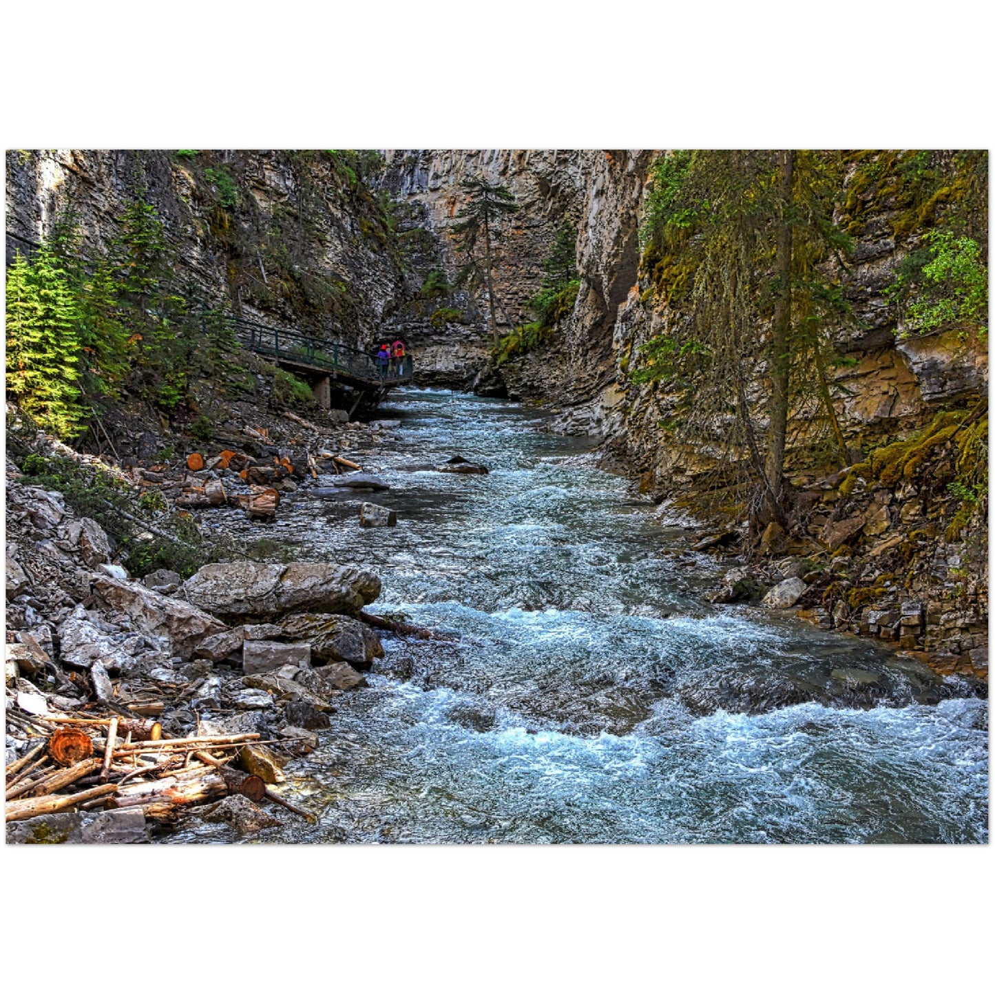 Premium Semi-Glossy Poster Print - Johnson Canyon Johnston Creek