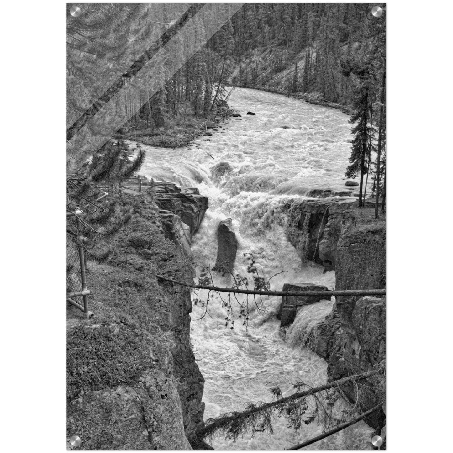 Acrylic Print - Sunwapta Falls Black and White