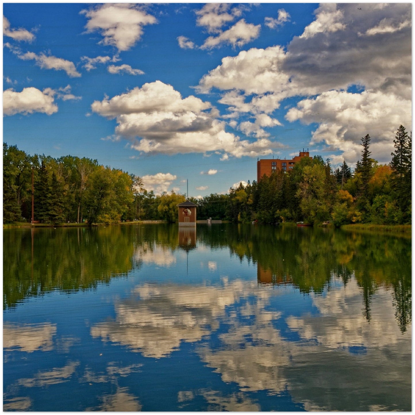 Wood Print - Bowness Park Lagoon Fall