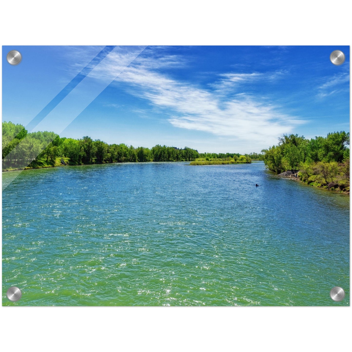 Acrylic Print - Bow River Eric Harvie Bridge Spring