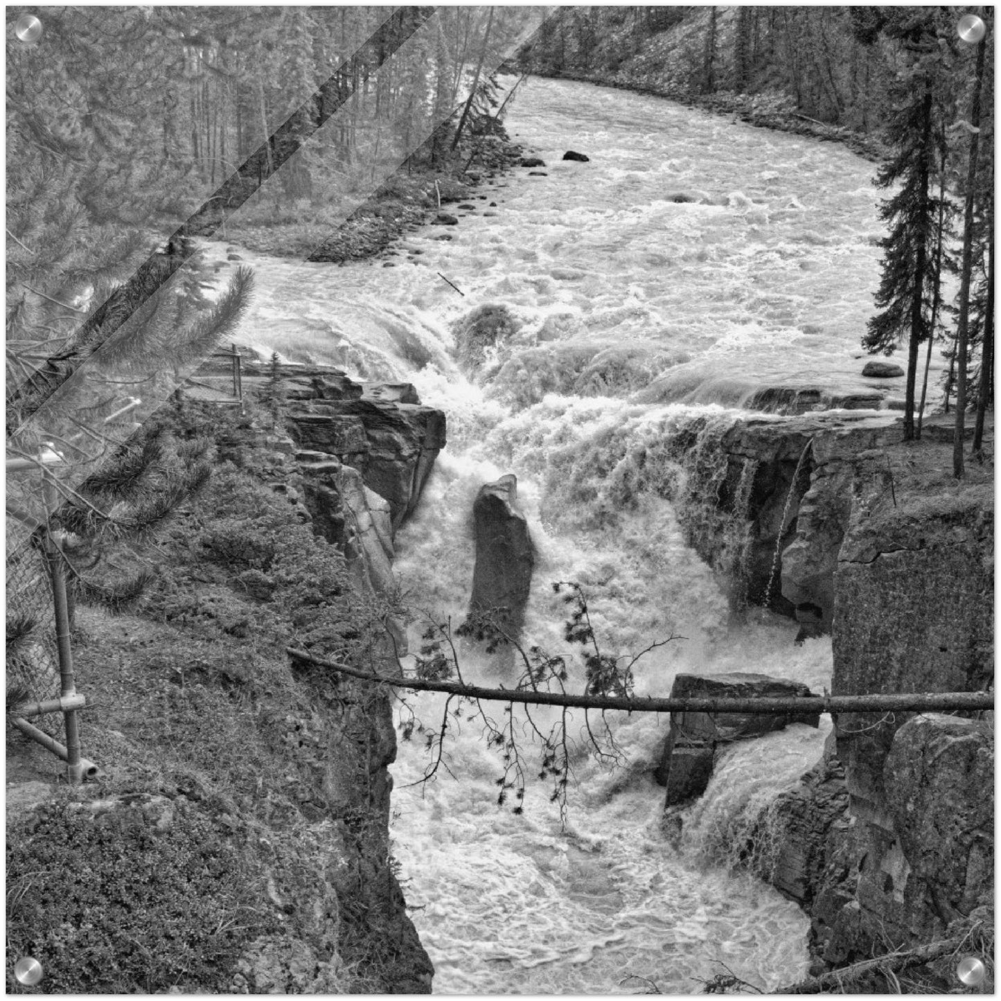 Acrylic Print - Sunwapta Falls Black and White