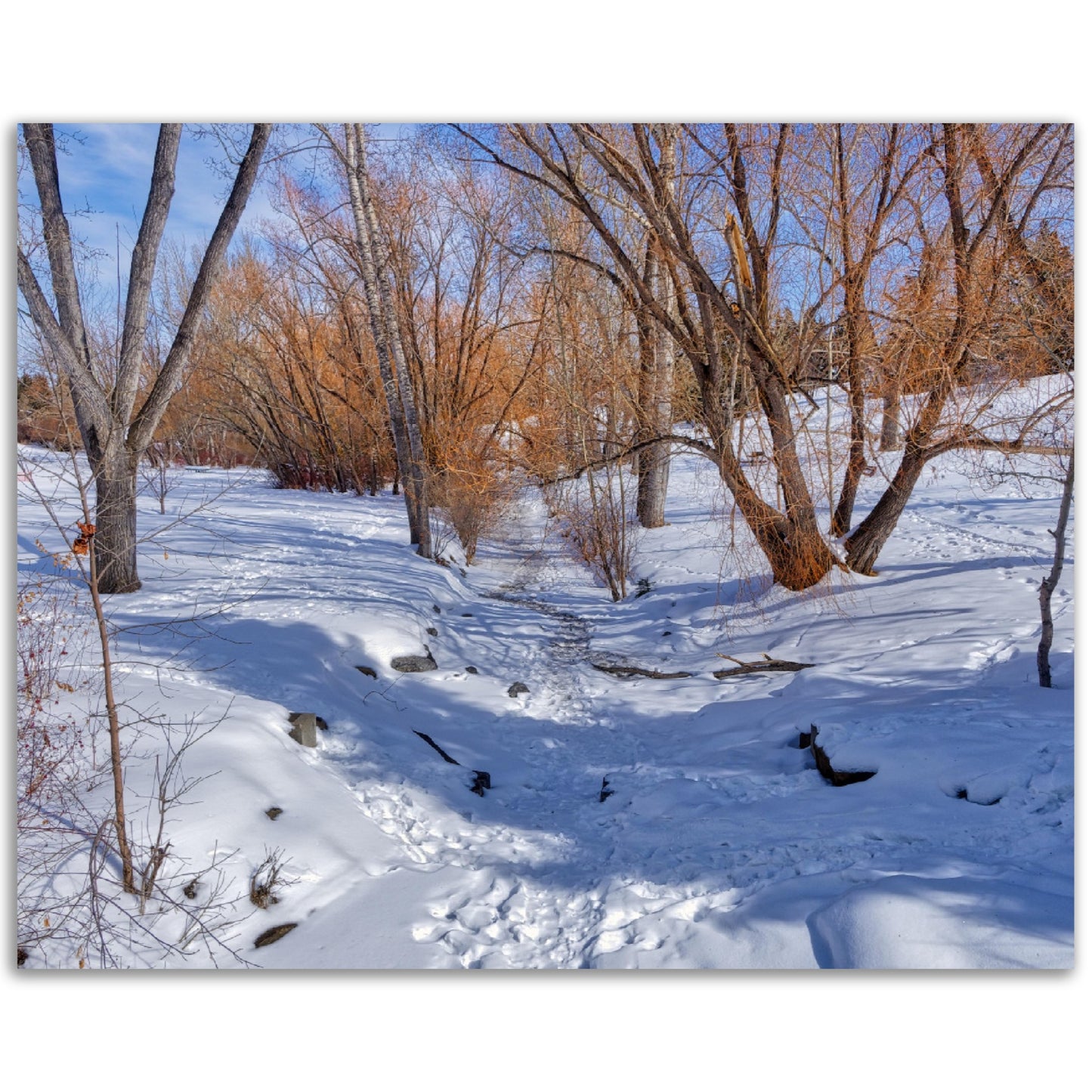 Premium Semi-Glossy Poster Print - Confederation Creek Winter HDR