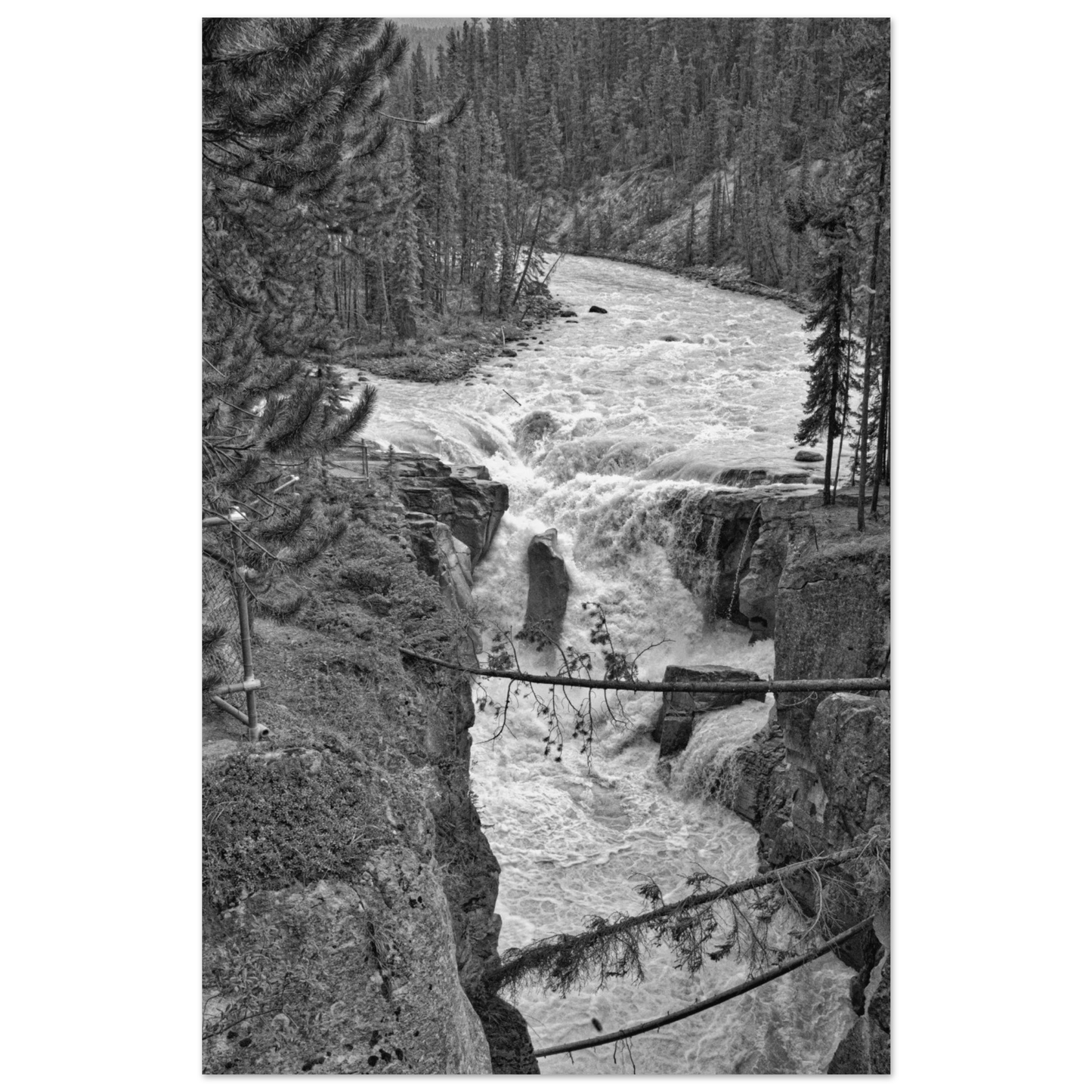 00517d53-b49c-4b36-a74f-0005f1f92752