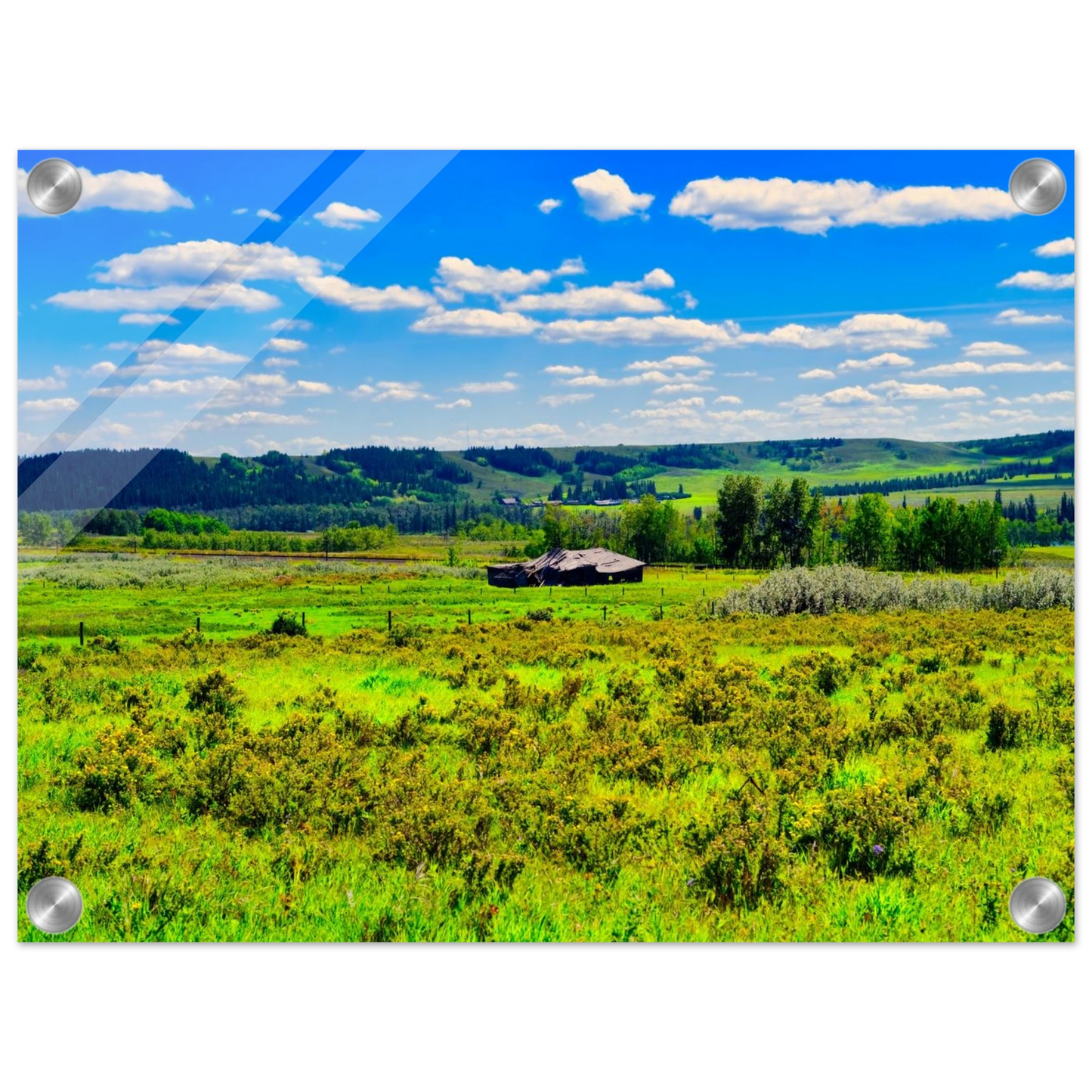 00991455-aa54-44c7-8a5c-ec8c2d057303