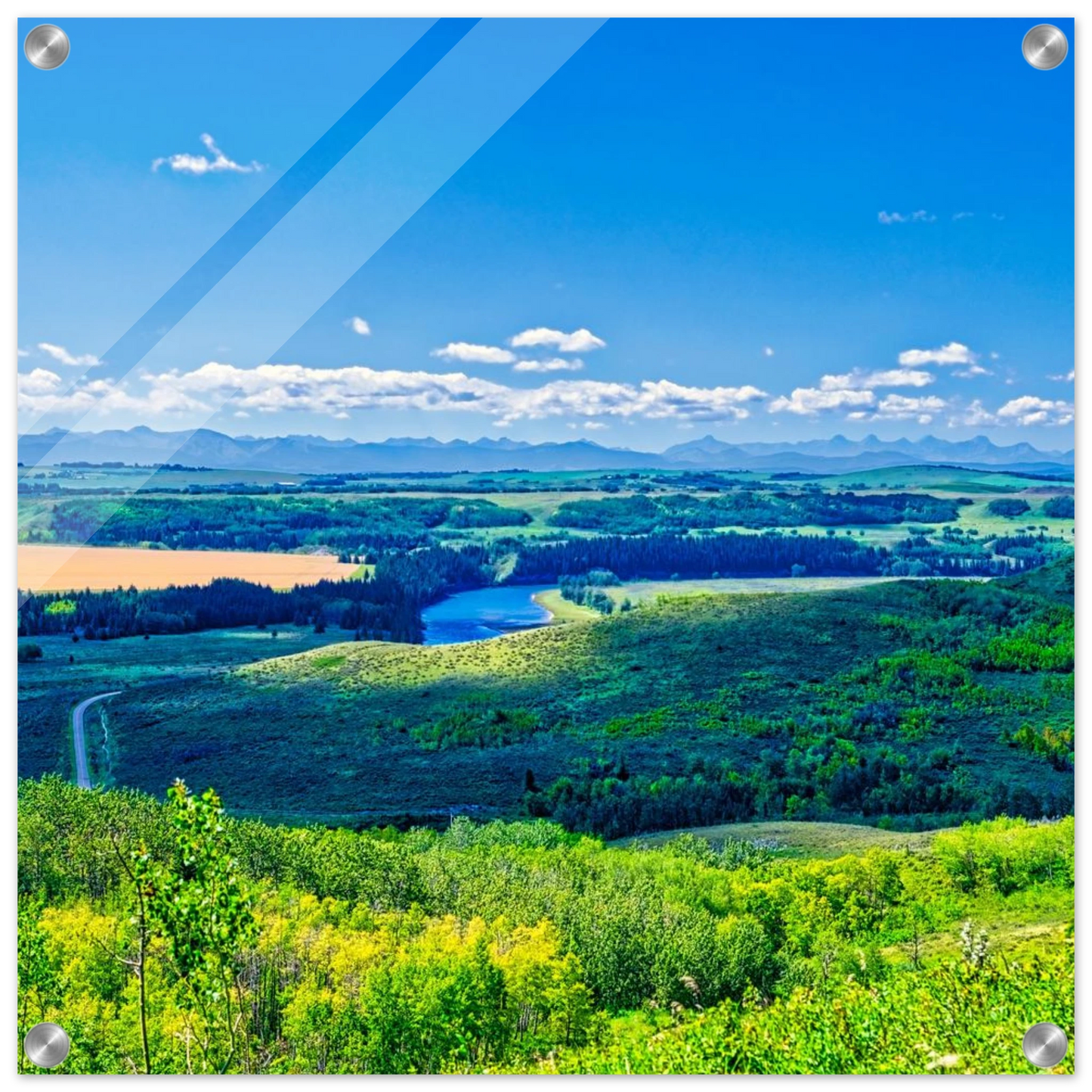 0b153932-45a3-4407-bc79-35987f87cfd0