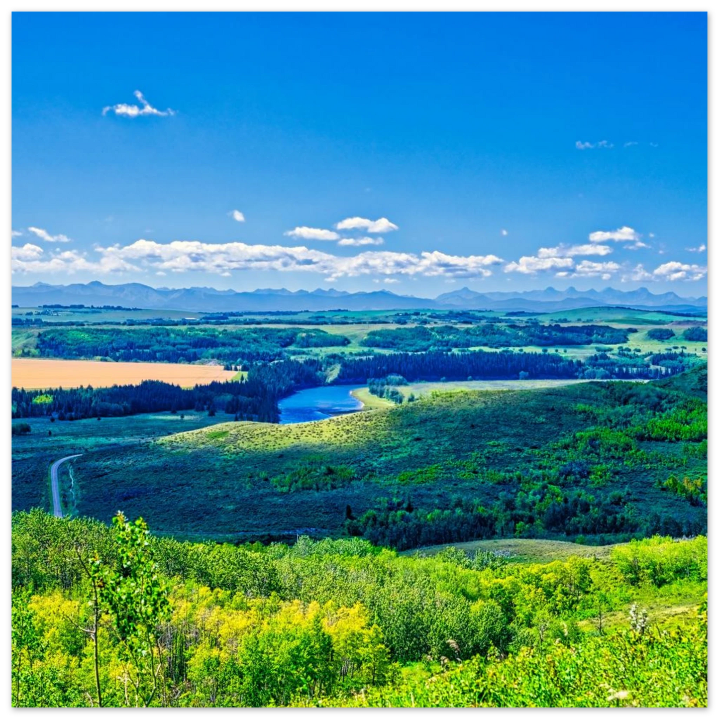 0c828f18-3244-4736-8d46-eccca6334527