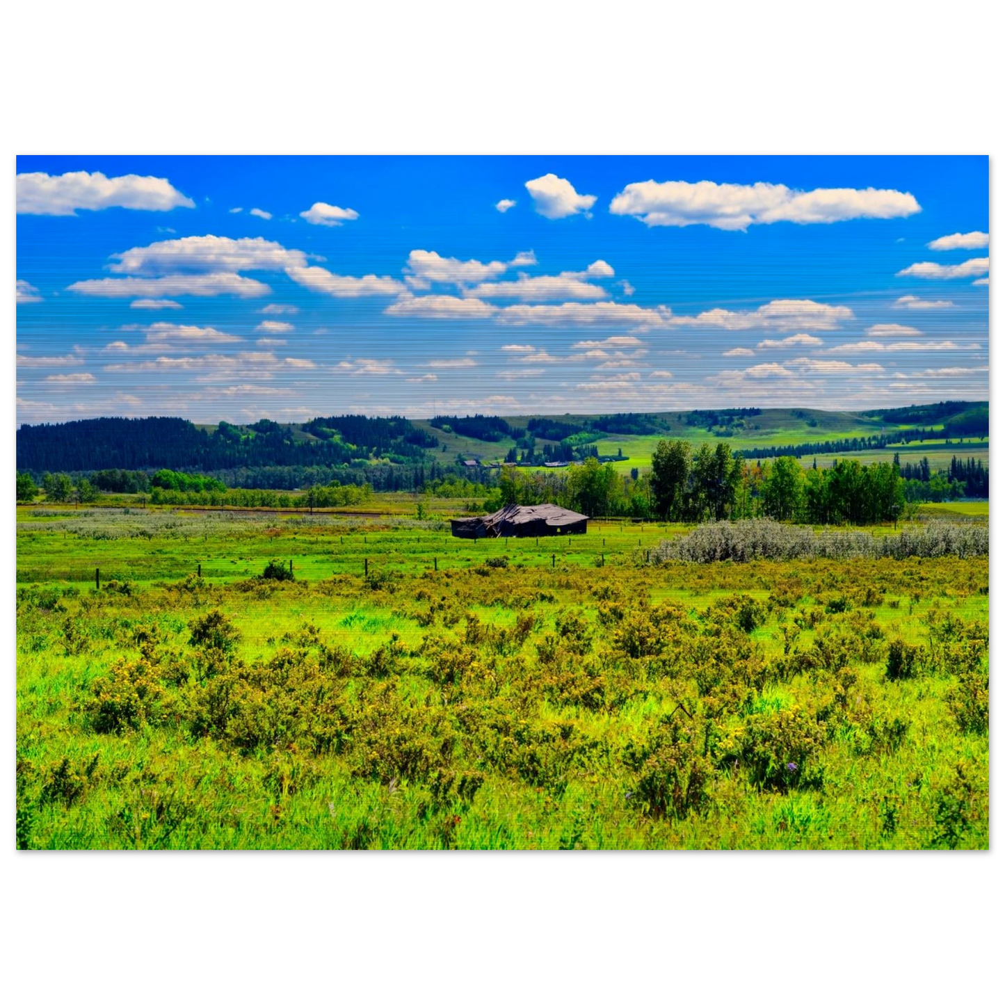 0d27f90d-ebc1-4d58-8882-ad9f2423d78b