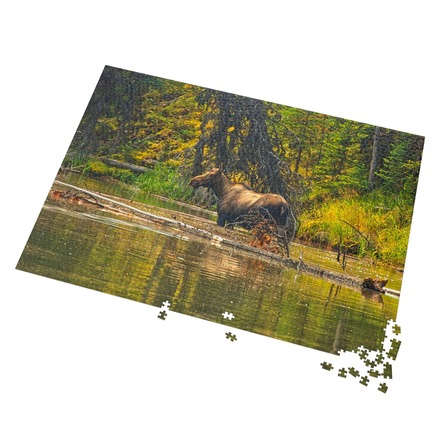 Jigsaw Puzzle (30, 110, 252, 500,1000-Piece) - Moose Lake Moose