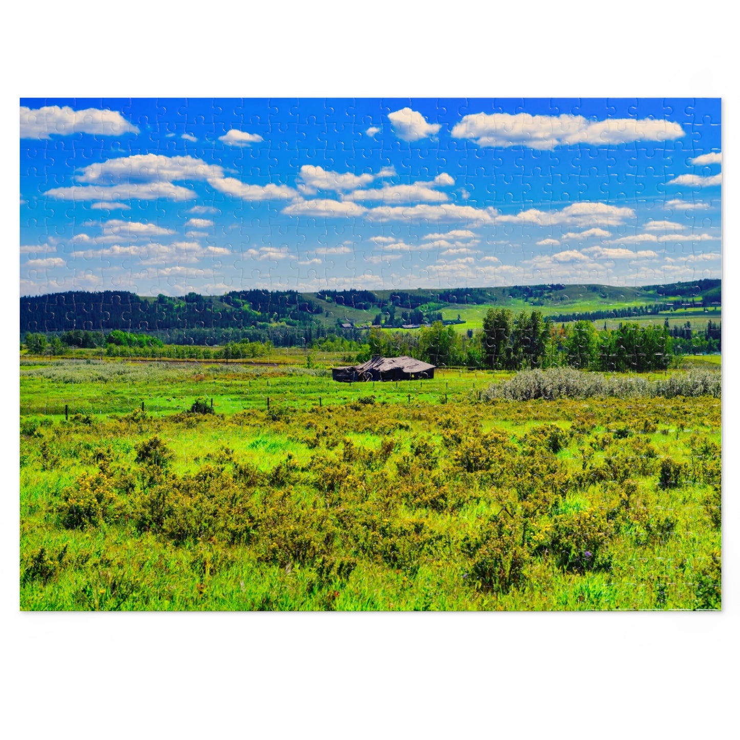 Jigsaw Puzzle - Glenbow Ranch Provincial Park