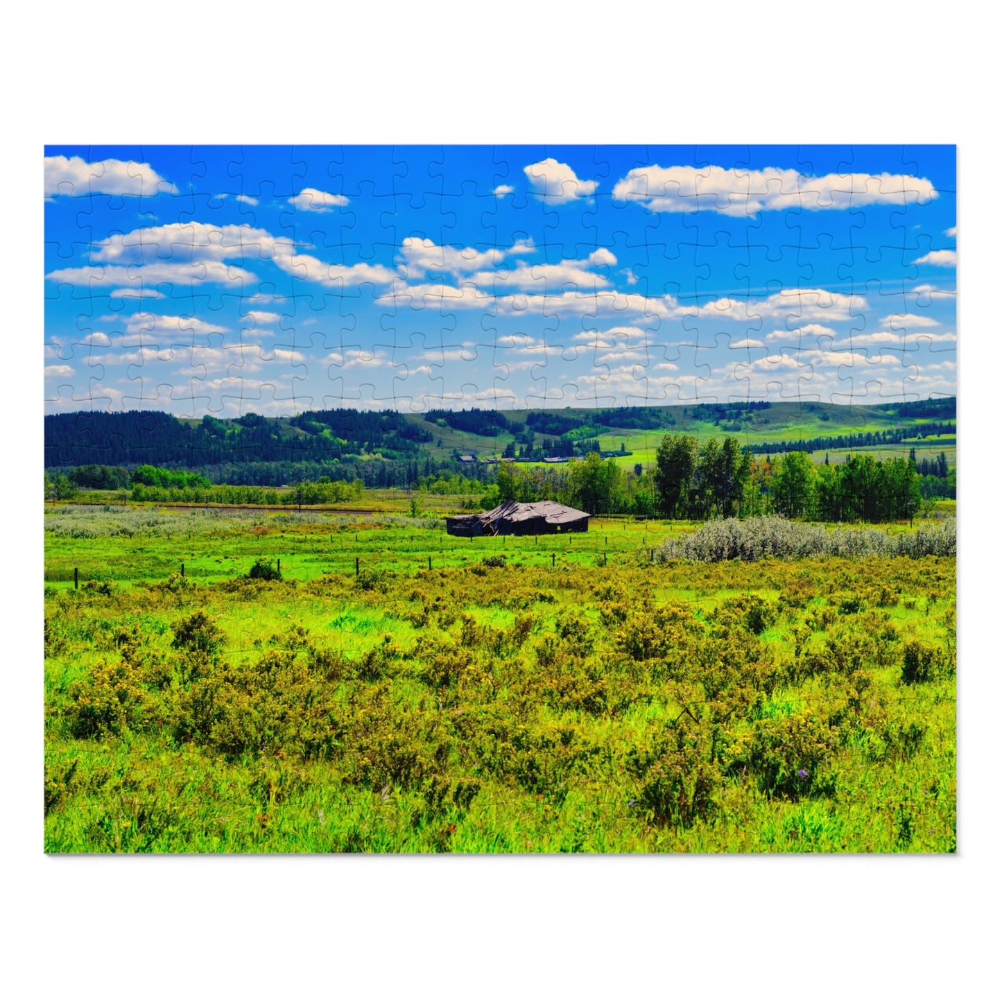 Jigsaw Puzzle - Glenbow Ranch Provincial Park