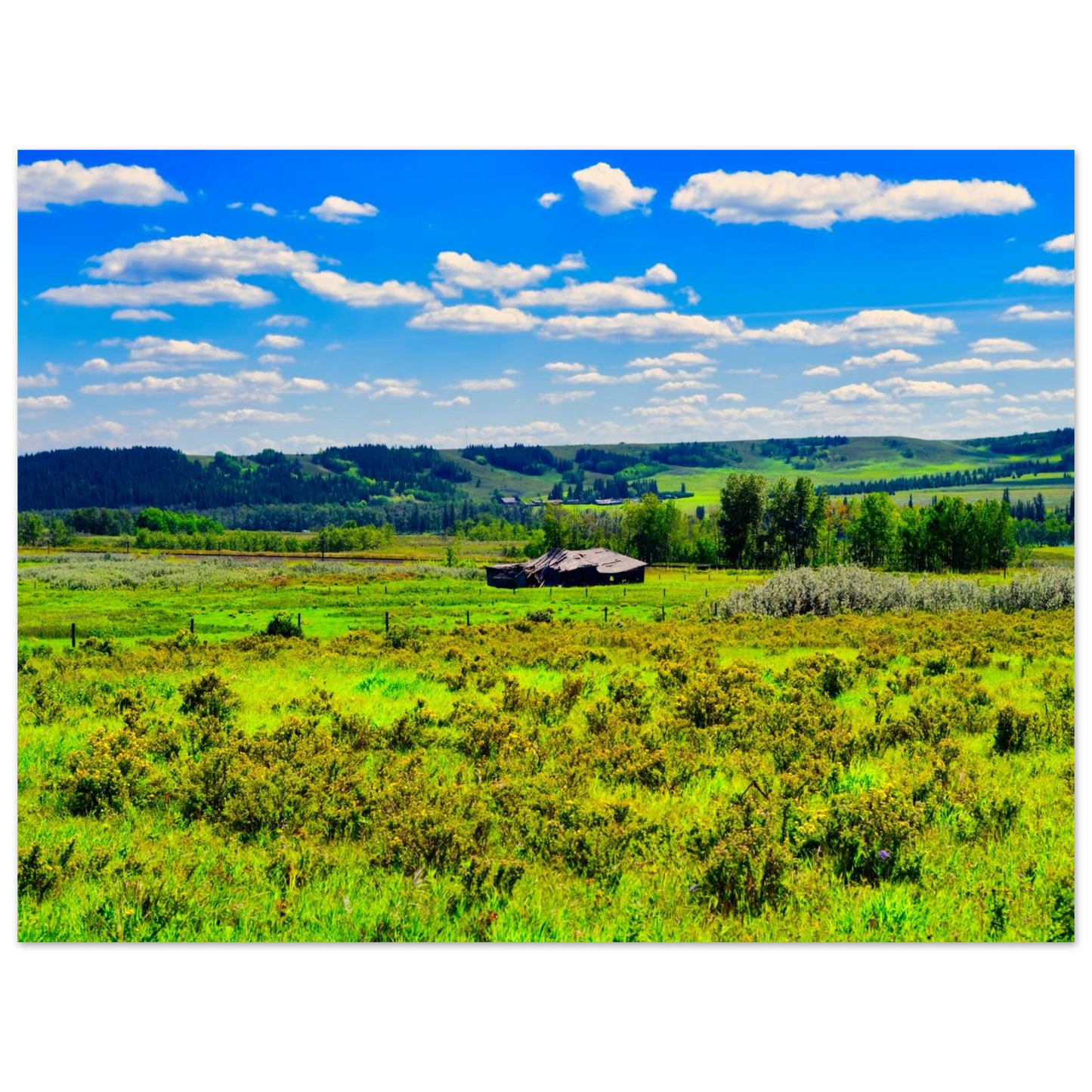 139e1281-69d3-44b6-8668-e48143079c0f