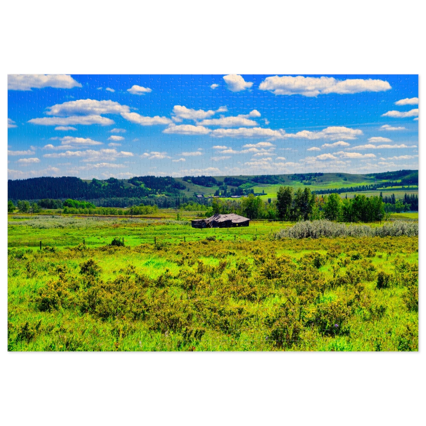 Jigsaw Puzzle - Glenbow Ranch Provincial Park
