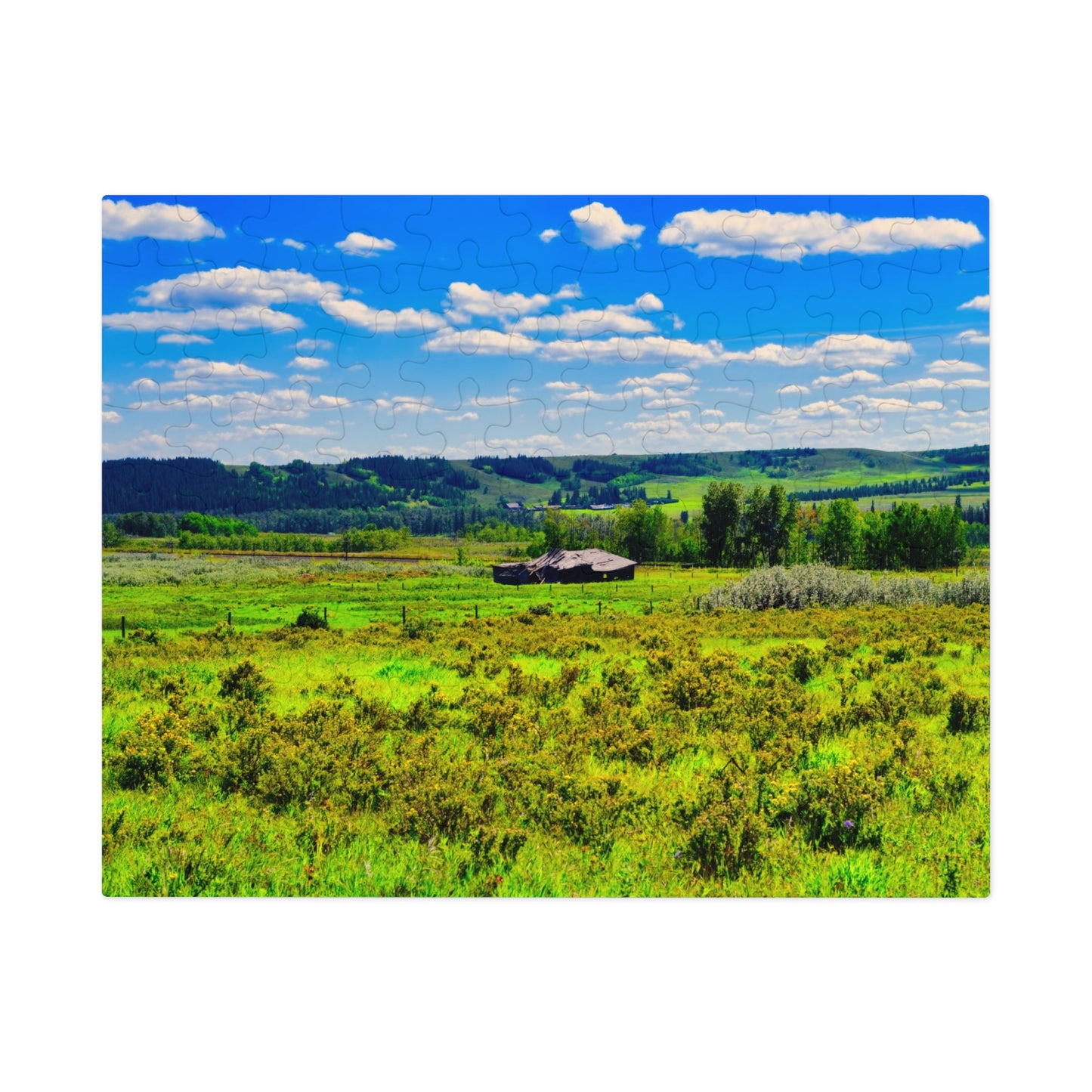 Jigsaw Puzzle - Glenbow Ranch Provincial Park