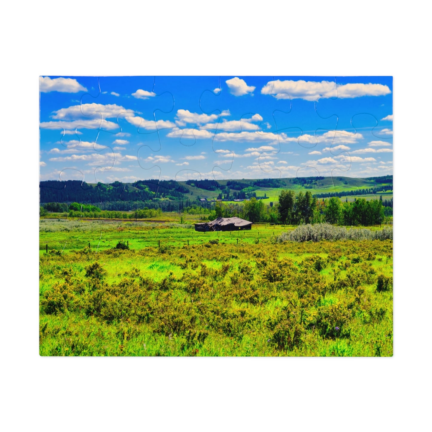 Jigsaw Puzzle - Glenbow Ranch Provincial Park